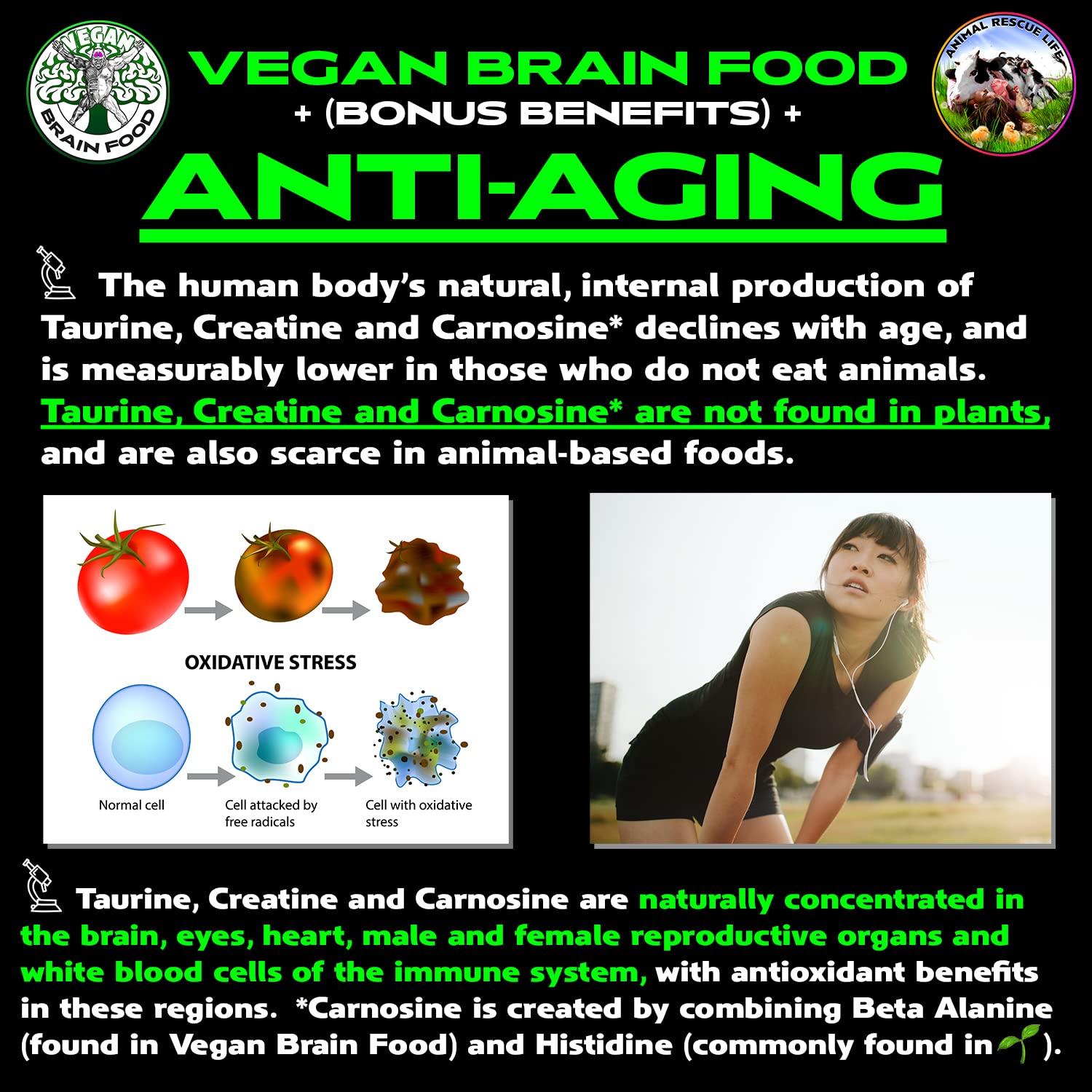 Vegan Brain & Body Boost: The Cherry On Top of A Plant-Based Lifestyle | Working Intelligence | Anti-Aging | Physical Fitness | Vegan Amino Acids - Creatine, Taurine & Beta Alanine | 40 Servings/300g Vegan Brain FoodAu supplements