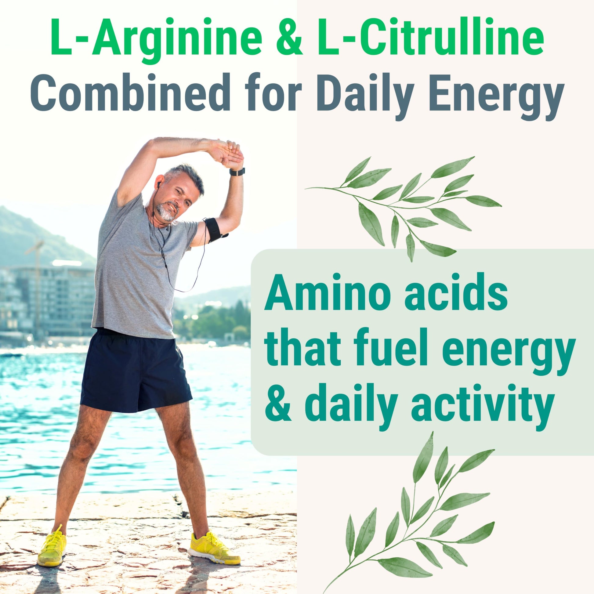 Pine Bark Extract L-Arginine L-Citrulline Beetroot Probiotic Fiber Methylated B Complex Zinc Gummies for Women Men Adults Kids w. Chicory Root Inulin 5-MTHF B6 P5P Powder Capsule Pill Supplement Alt SHIZAMAu supplements
