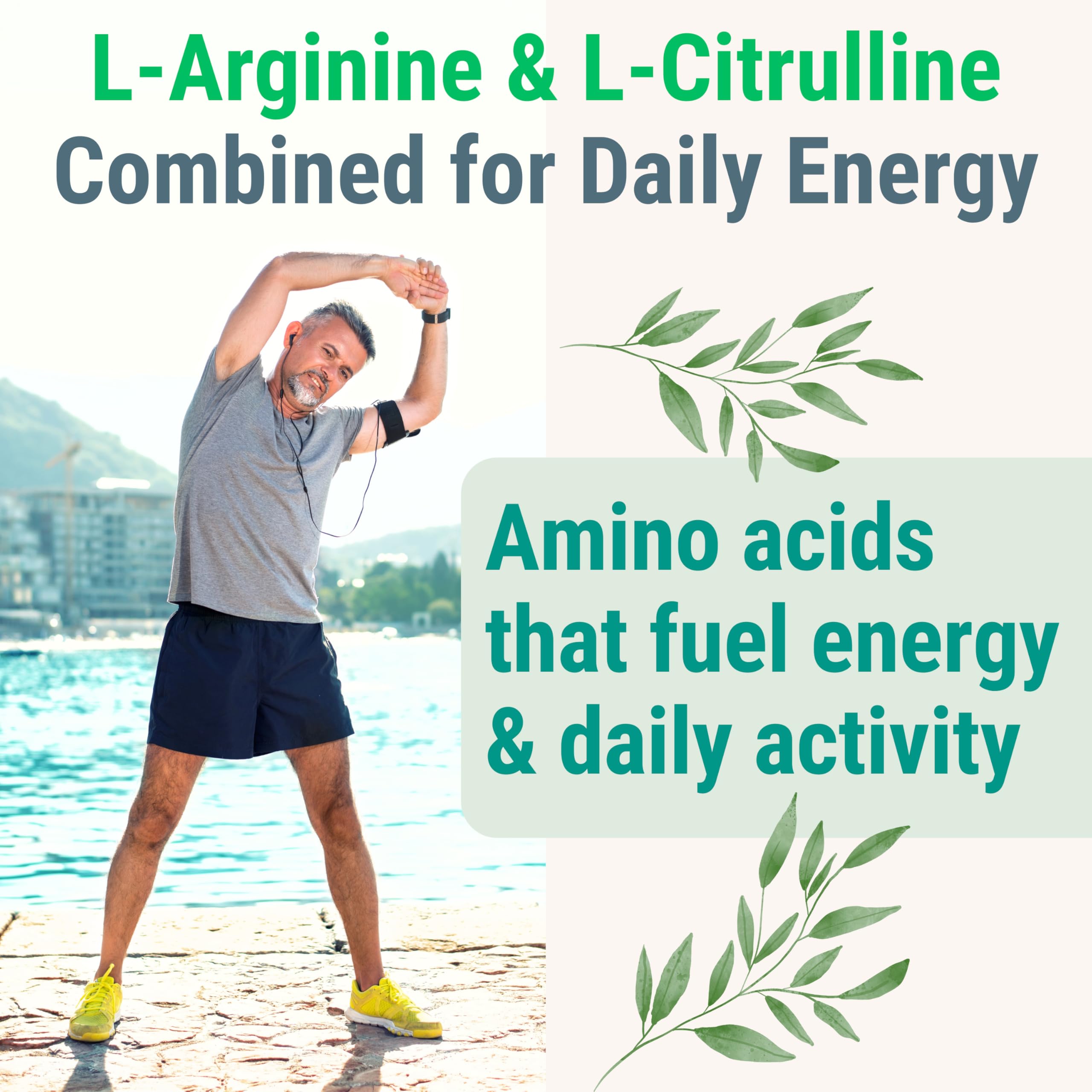 Pine Bark Extract L-Arginine L-Citrulline Beetroot Probiotic Fiber Methylated B Complex Zinc Gummies for Women Men Adults Kids w. Chicory Root Inulin 5-MTHF B6 P5P Powder Capsule Pill Supplement Alt SHIZAMAu supplements