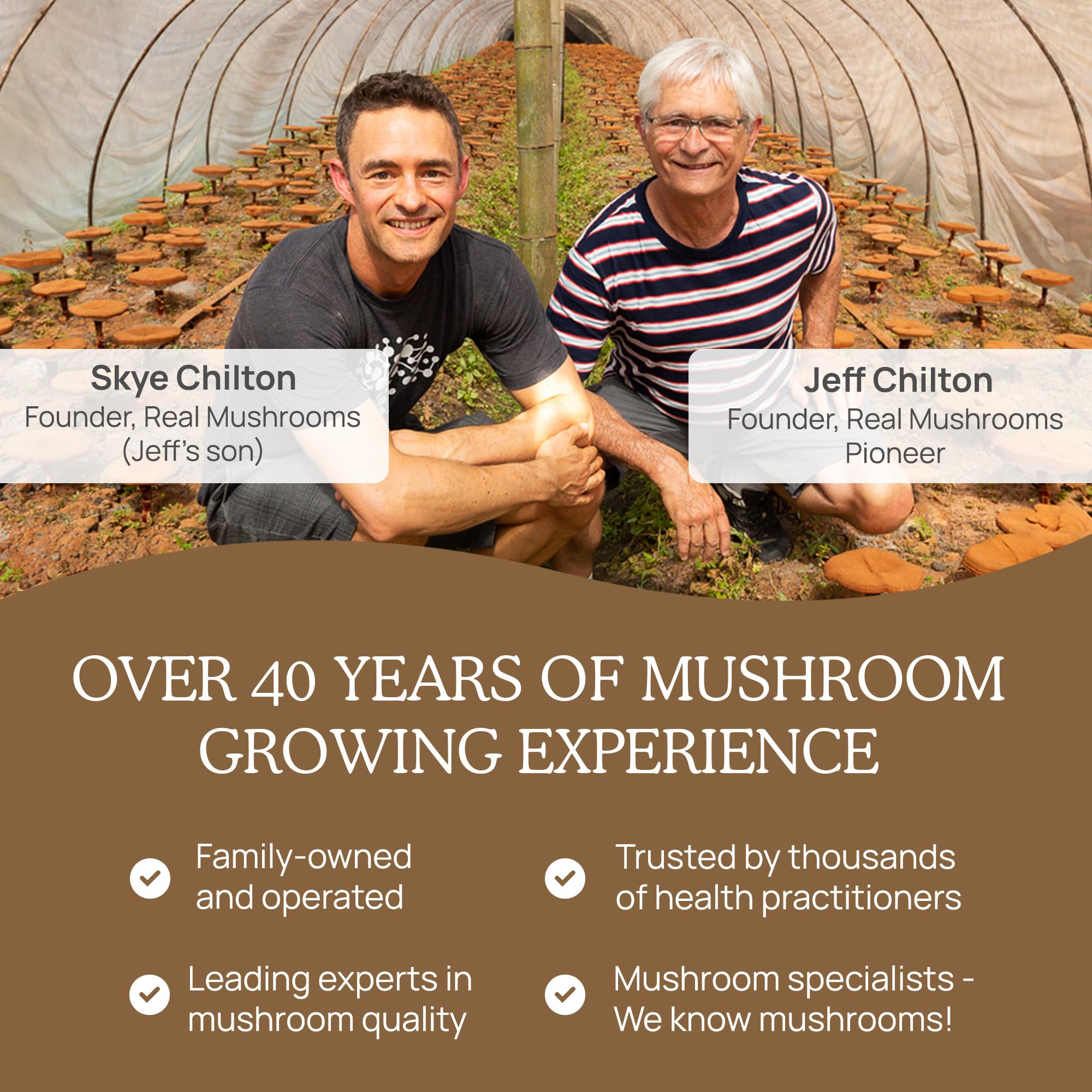 Real Mushrooms Lion’s Mane Powder - Organic Lions Mane Mushroom Extract Real MushroomsUS supplements