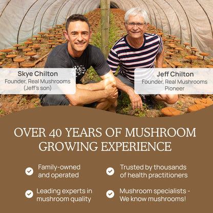 Real Mushrooms Lion’s Mane Powder - Organic Lions Mane Mushroom Extract Real MushroomsUS supplements