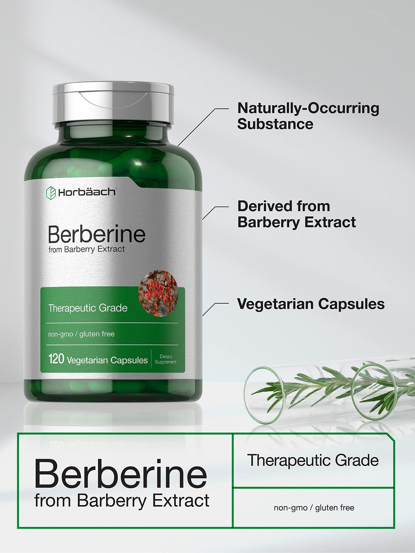 Berberine Supplement | 120 Capsules | Berberine HCl from Barberry Extract | Non-GMO HorbäachUS supplements