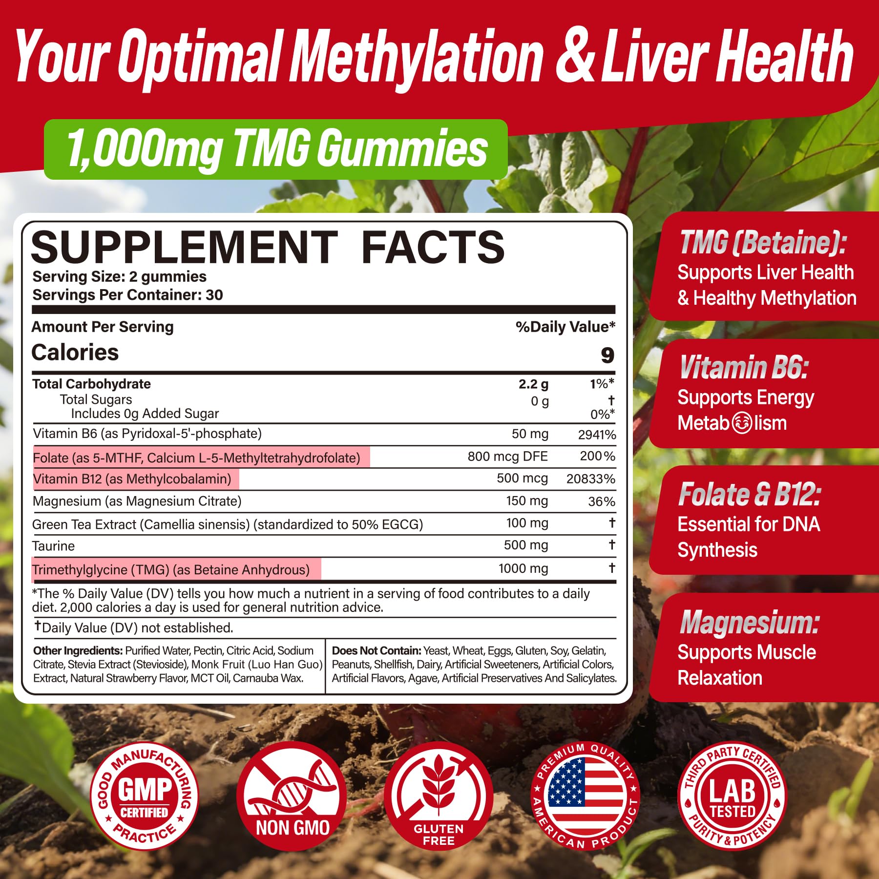 2Pack TMG Gummies 1000mg Betaine Anhydrous + Methylated Multivitamin & B Complex Methylated(Methylfolate B12 B6), Magnesium, Taurine - Essential Trimethylglycine for Homocysteine Levels, Brain, Energy NextdiaAu supplements