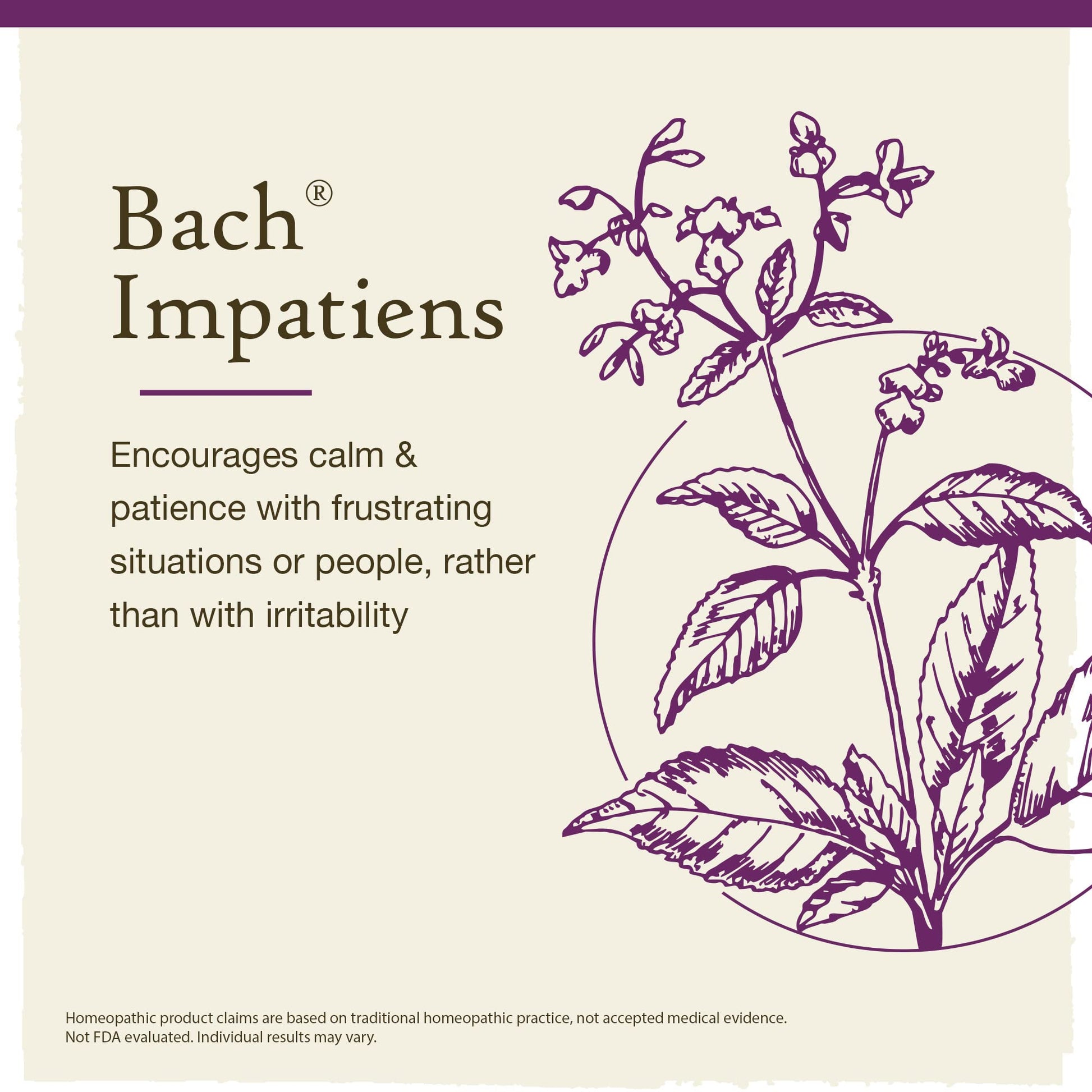 Bach Original Flower Remedies, Impatiens for Patience (Non-Alcohol Formula), Natural Homeopathic BachAu supplements