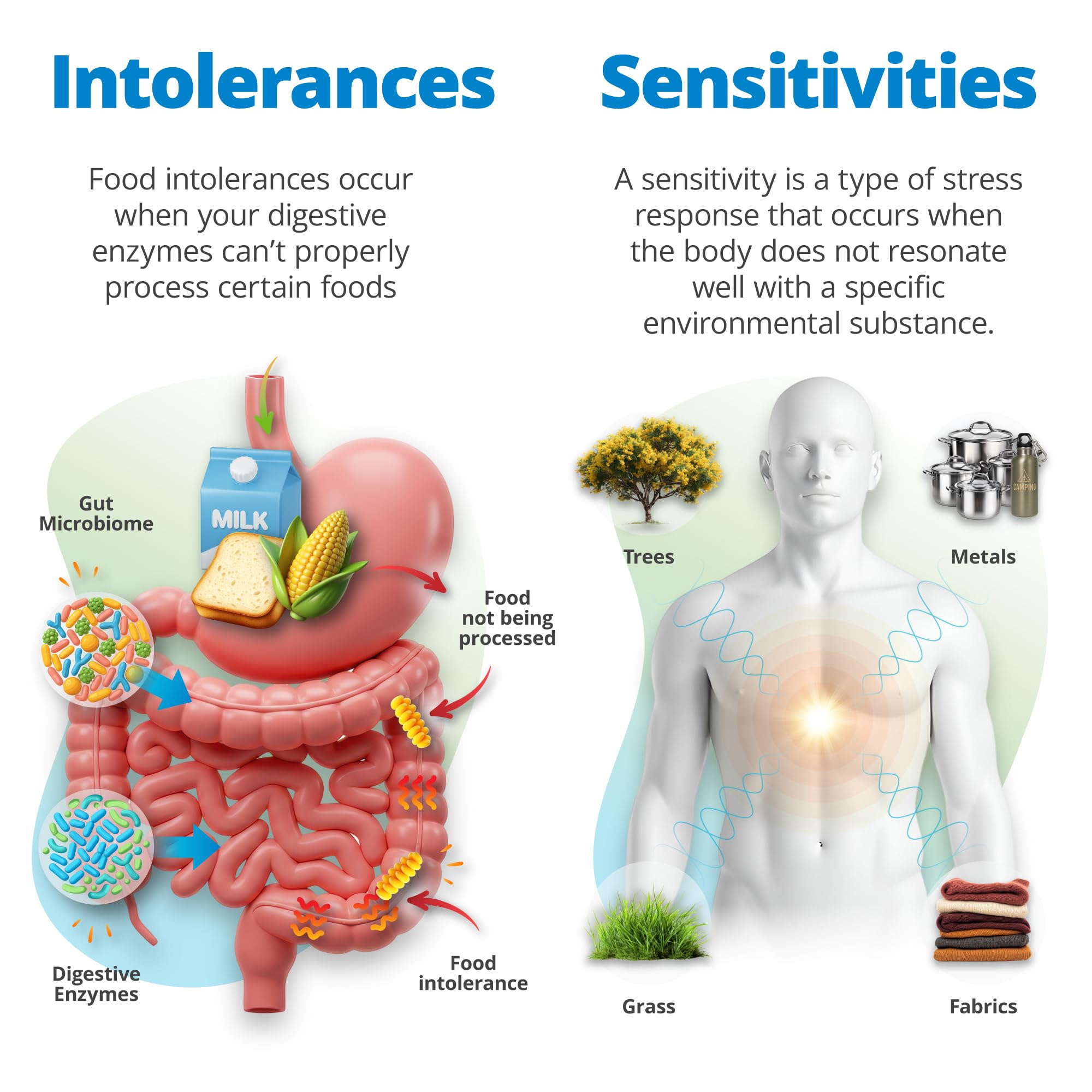 5Strands Food Intolerance & Environmental Sensitivity Test for Adults & Children, 950 Items Tested, Kids Intolerance Testing Kit, at Home Gut Health Assessment, Fast 4 Day Results 5StrandsAu supplements