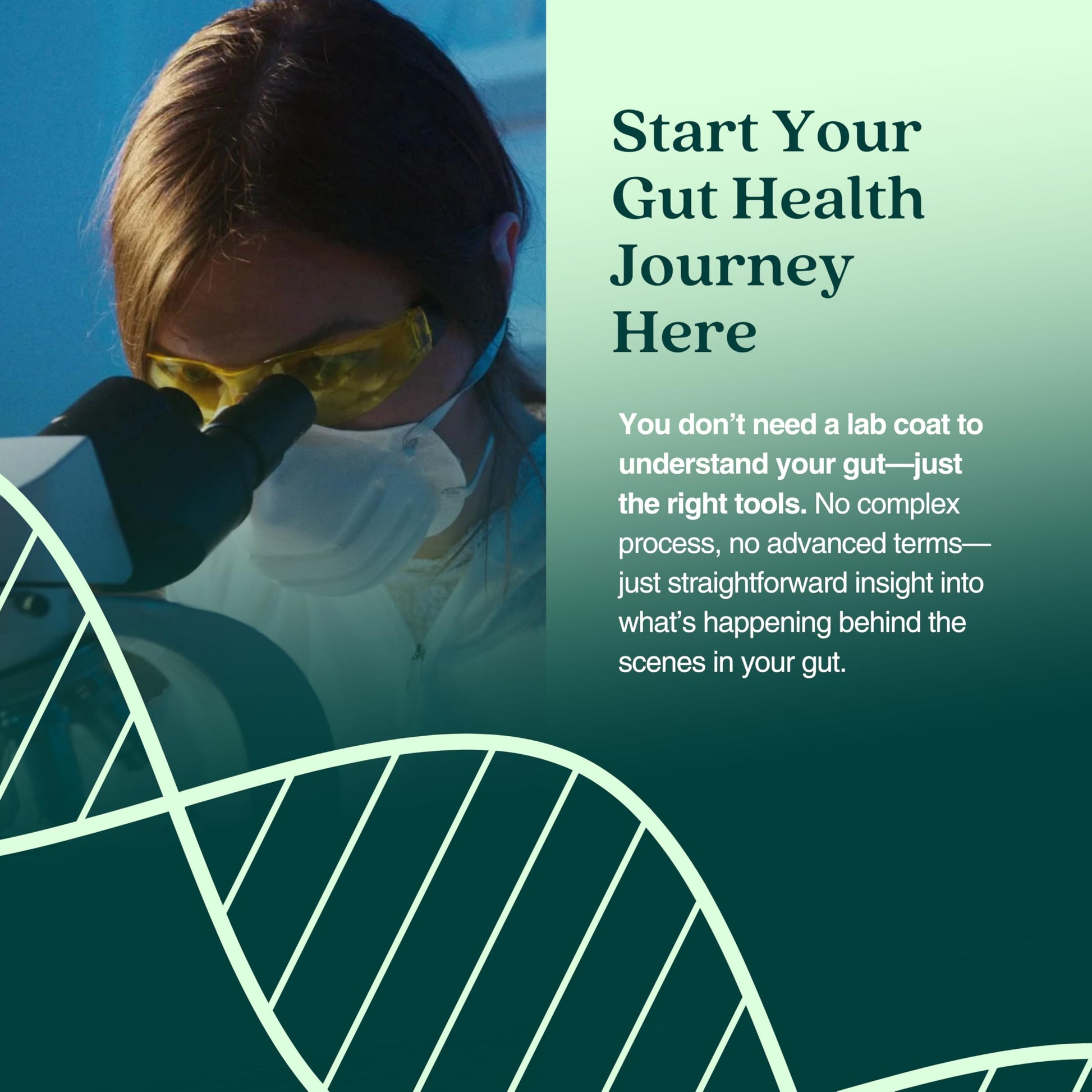 KiHealth – Gut Health Basics Test – at-Home Stool Test for Digestion, Inflammation, and Microbiome Balance – at-Home Kit KihealthAu supplements