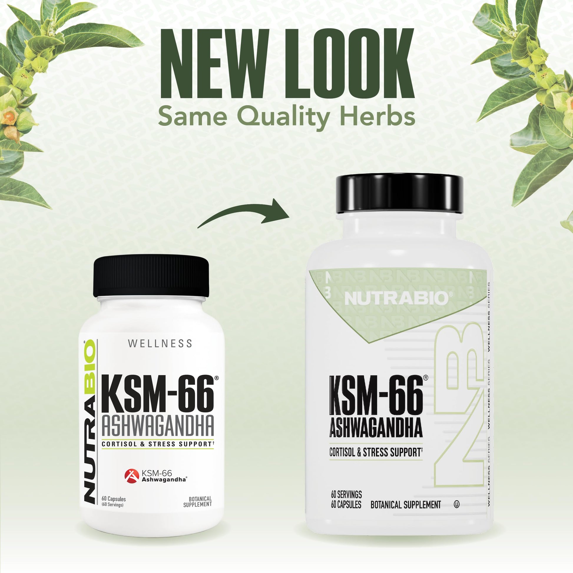 NutraBio Ashwagandha KSM-66 | Ashwagandha Herbal Supplement for Stress, Mood, & Performance | 600 MG of Clinically Studied KSM66 60 Capsules NutraBioAu supplements