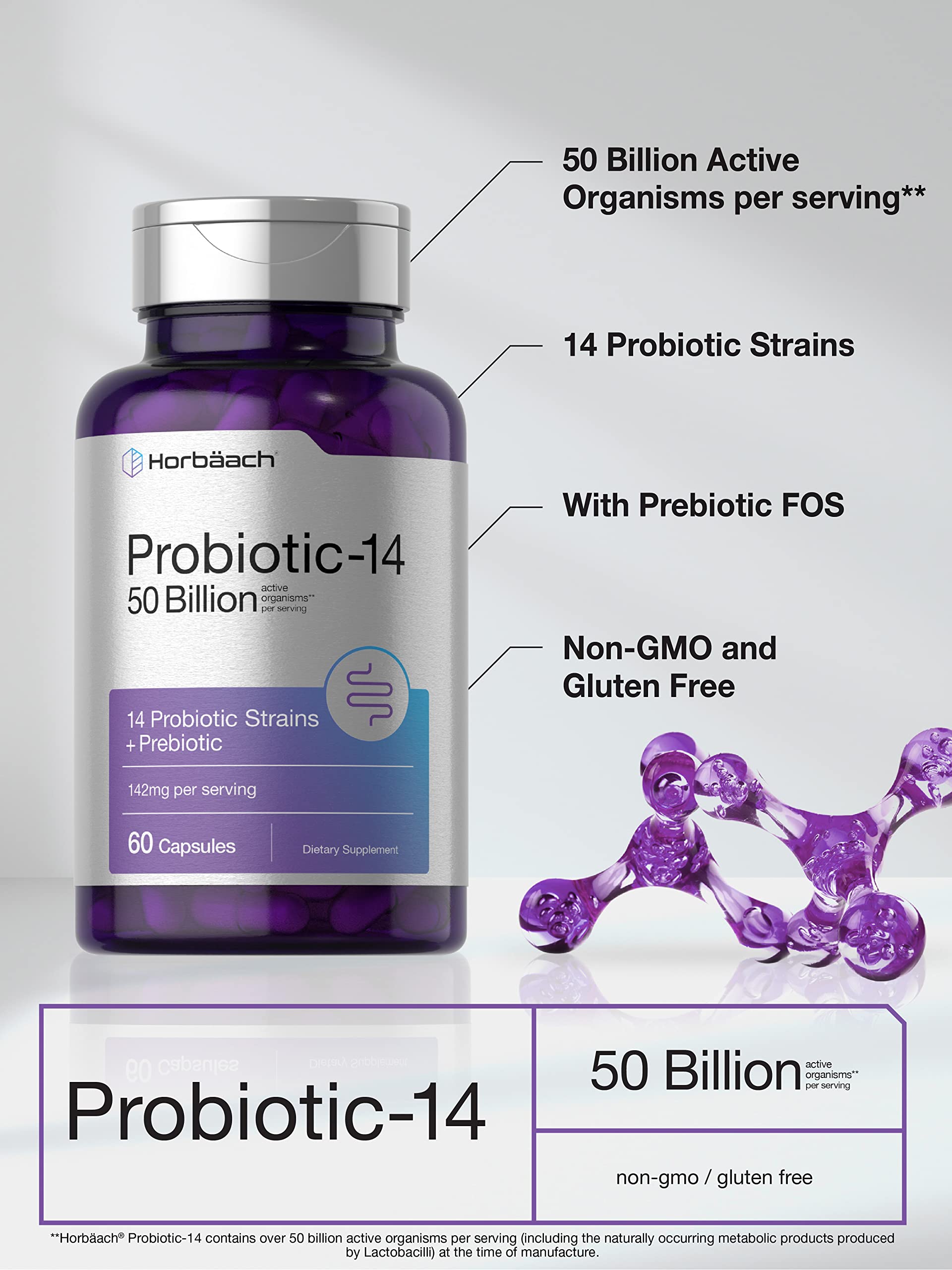 Horbäach Probiotics with Prebiotics | 60 Capsules | 50 Billion Active Organisms | Non-GMO HorbäachUS supplements
