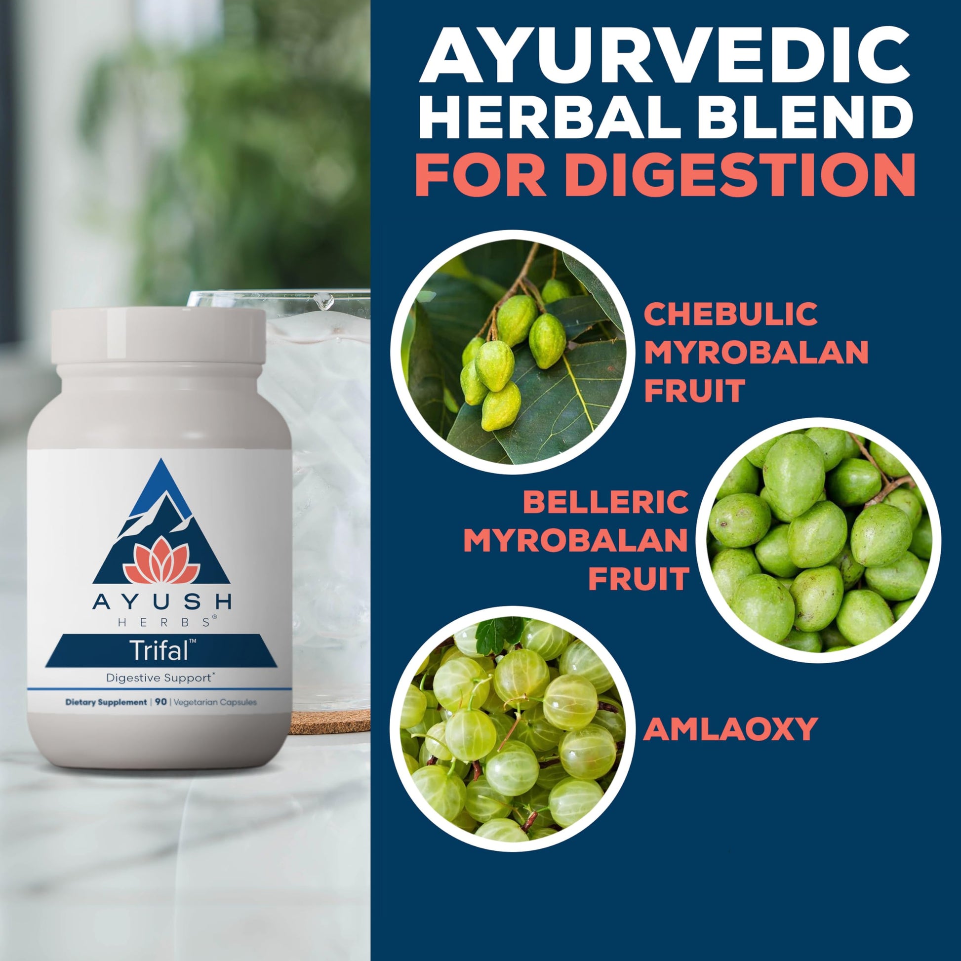Ayush Herbs Trifal Digestive Support with Amla - Triphala Supplement for Women & Men, Promotes Balanced Digestion, Antioxidant Rich, Made with Organic Ingredients - 90 Vegetarian Capsules (1 Count) Ayush HerbsAu supplements