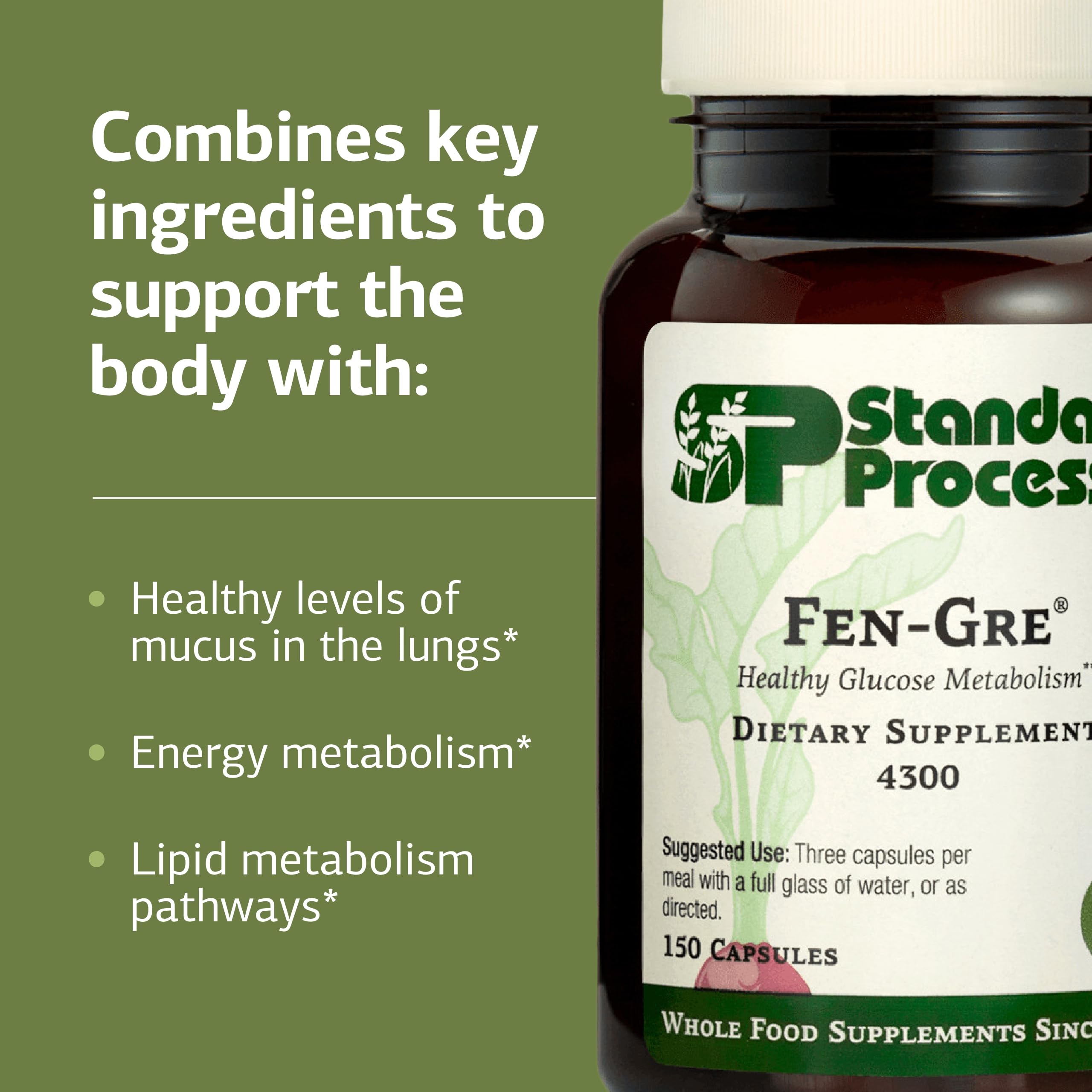 Standard Process Fen-Gre - Supports Respiratory Support & Healthy Metabolism - Aids Healthy Levels of Mucus & Phlegm - Supports Lung Health & Bronchial Tubes - Gluten-Free & Non-Dairy - 150 Capsules Standard Process Inc.Au supplements