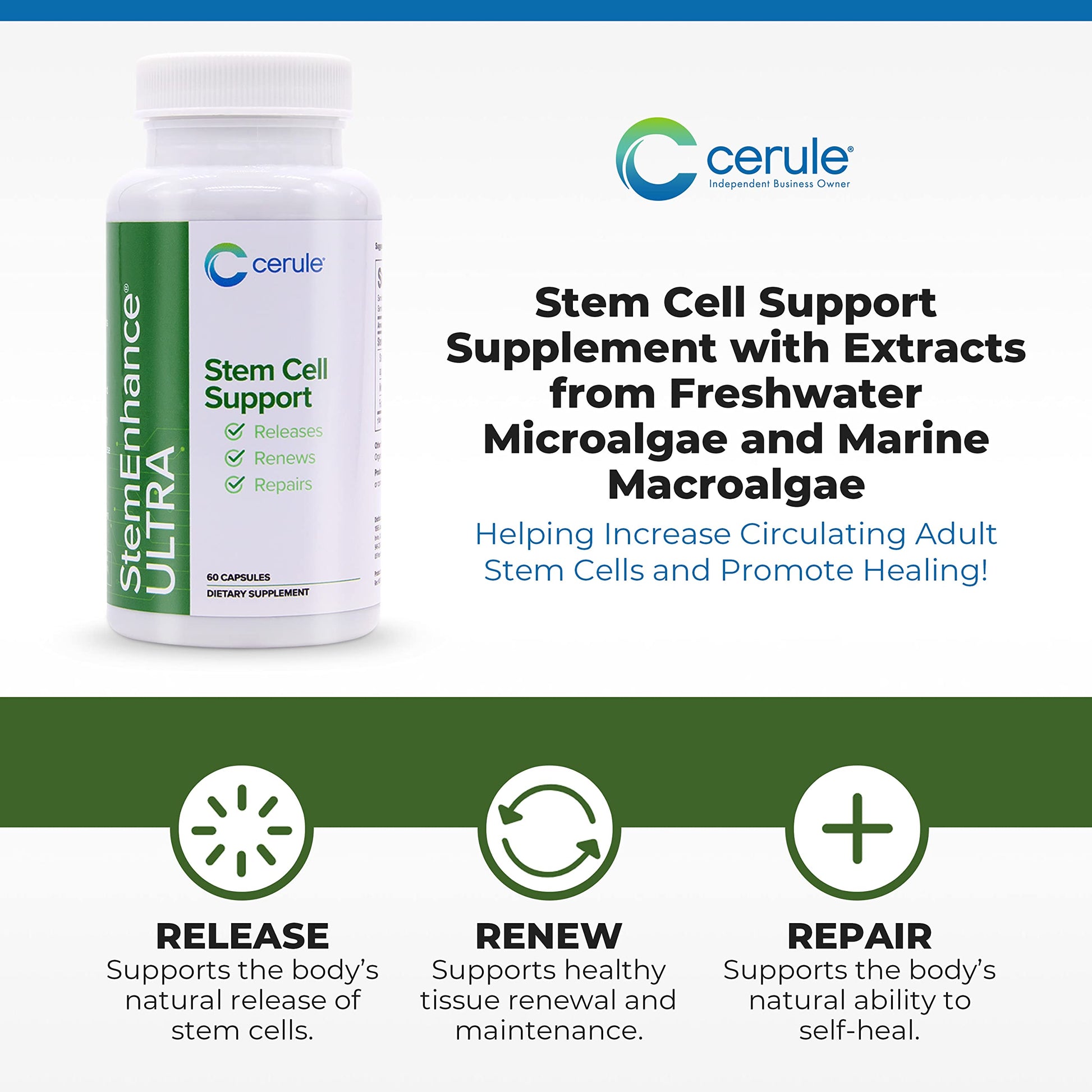 Cerule StemEnhance Ultra Natural Stem Cell Support Supplement – Freshwater Microalgae and Marine Macroalgae Extracts for Cellular Renewal, Immune Function, Energy, and Tissue Recovery – 60 Capsules CeruleAu supplements