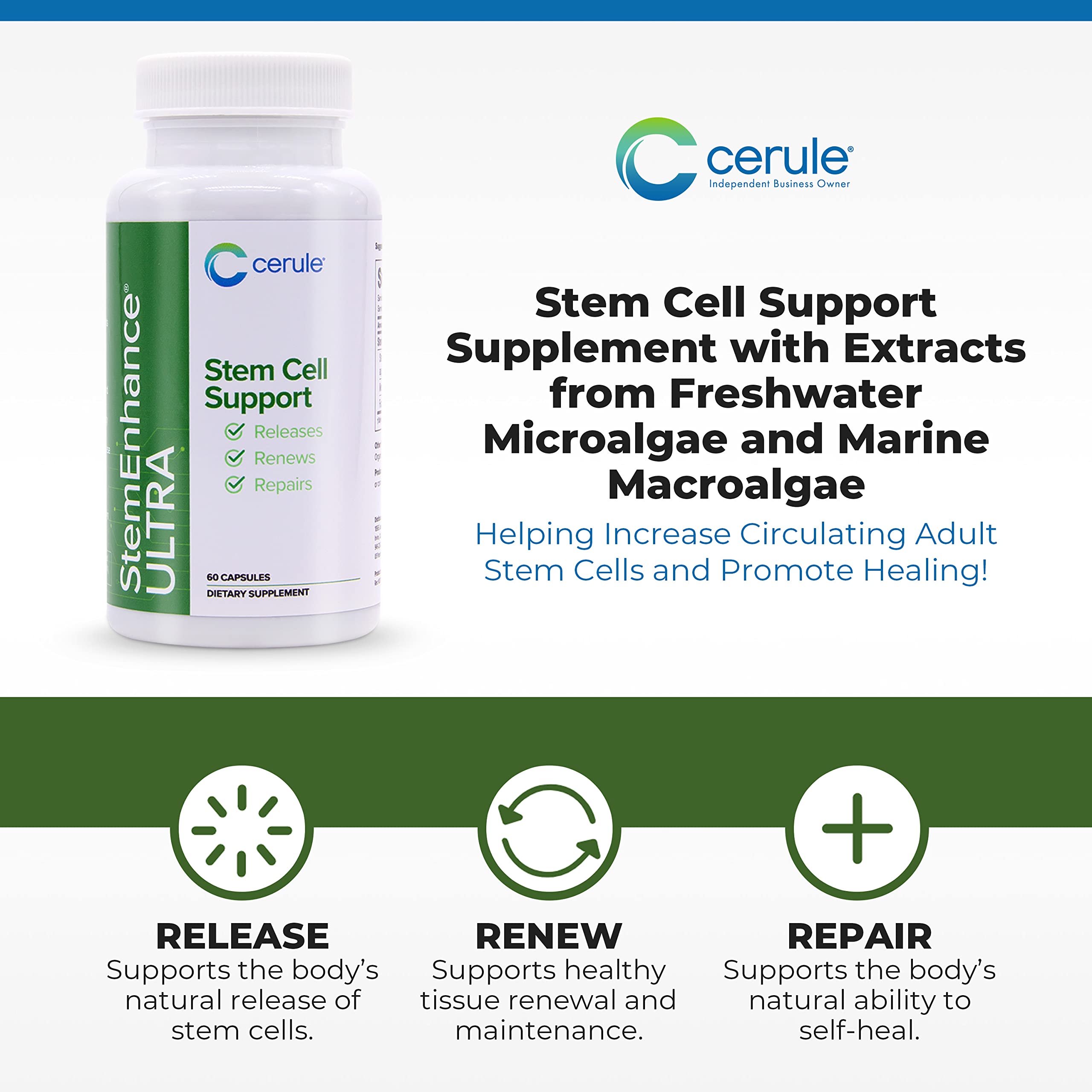 Cerule StemEnhance Ultra Natural Stem Cell Support Supplement – Freshwater Microalgae and Marine Macroalgae Extracts for Cellular Renewal, Immune Function, Energy, and Tissue Recovery – 60 Capsules CeruleAu supplements