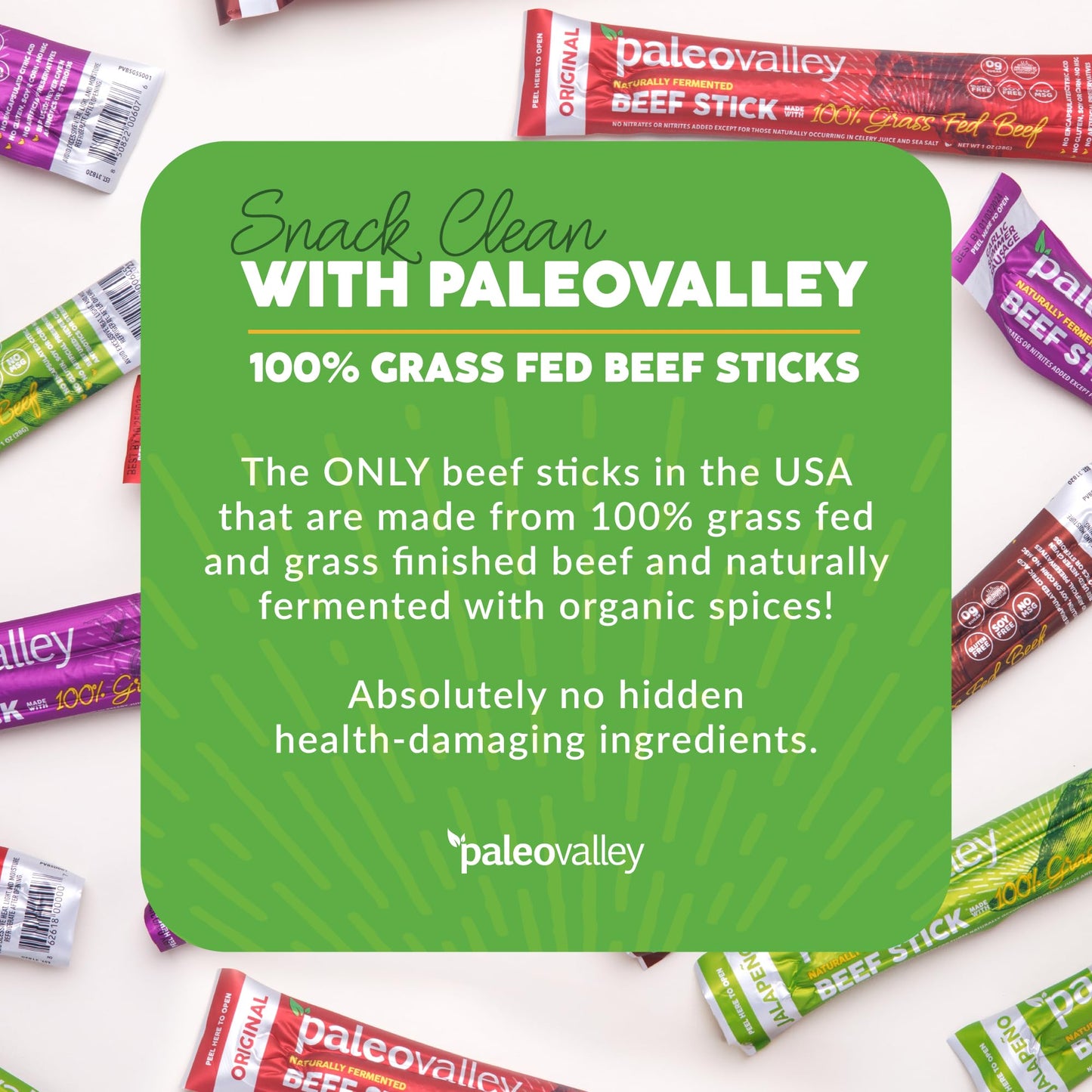 Paleovalley 100% Grass Fed Beef Sticks - Delicious Gluten Free Beef Snack - High Protein Keto Friendly, 40 Count Variety Pack PaleovalleyUS supplements