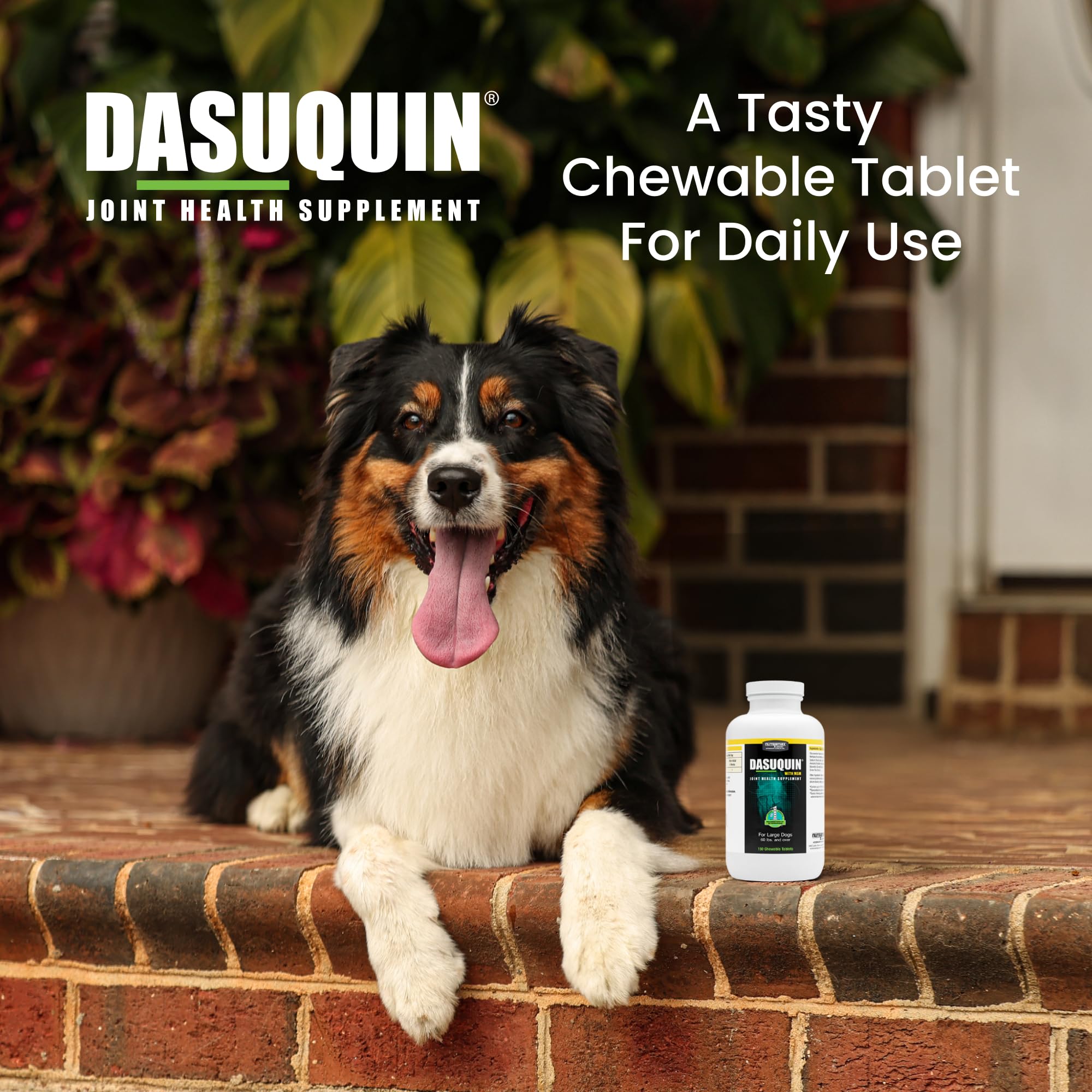 Nutramax Dasuquin for Large Dogs, Joint Health Supplement, Contains Glucosamine for Dogs, Plus Chondroitin, ASU, MSM and More, Supports Healthy Joints, Chewable Tablets, 150 Count Nutramax LaboratoriesAu supplements