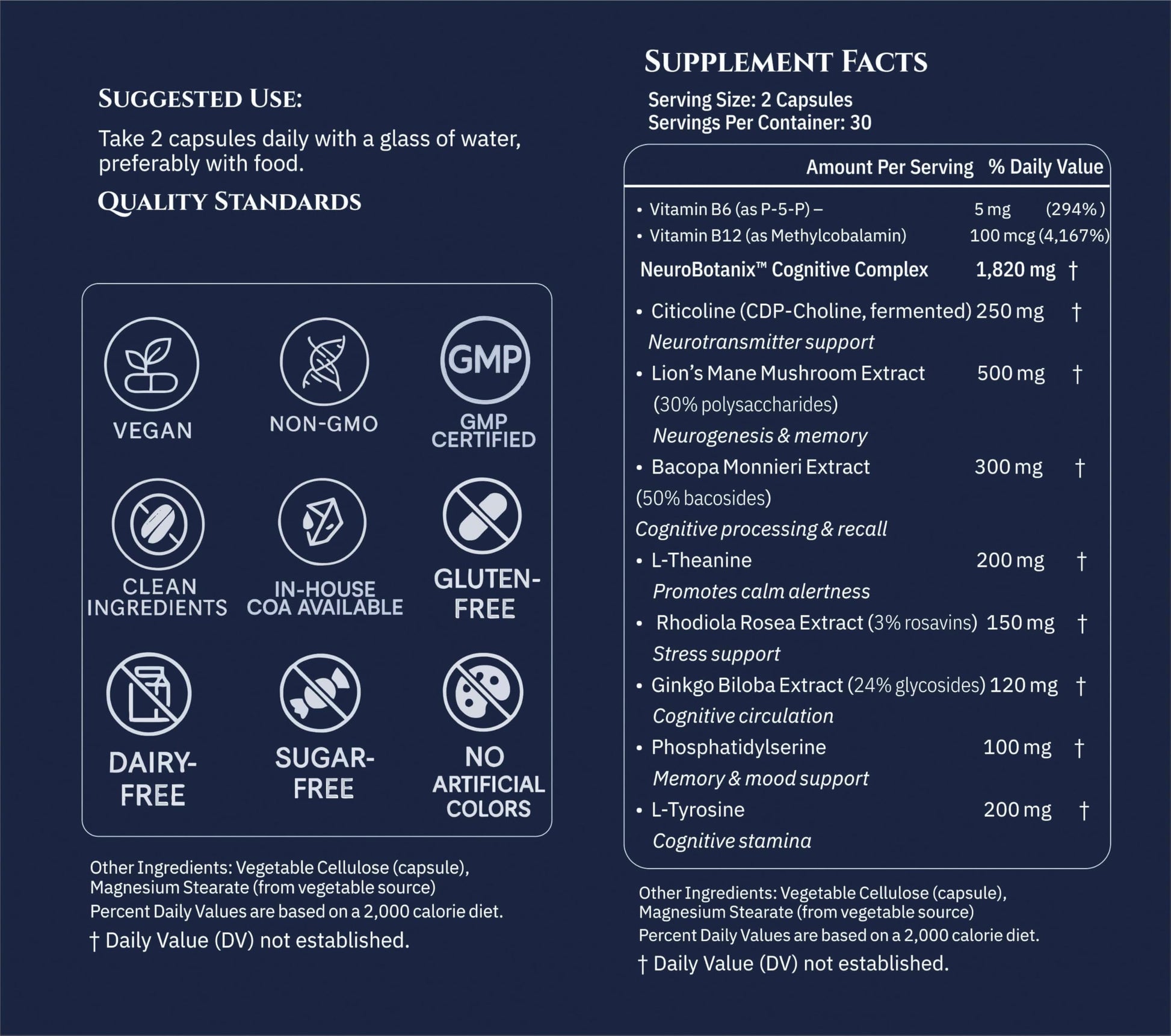 Xenivra Synaptix™ Natural Nootropic Brain Supplement | Herbal Memory & Focus Pills with Citicoline, L-Theanine, Lion’s Mane, Bacopa & Rhodiola | Mental Clarity & Brain Fog Support | 60 Vegan Capsules XENIVRA NATURE, AMPLIFIED BY SCIENCEAu supplements