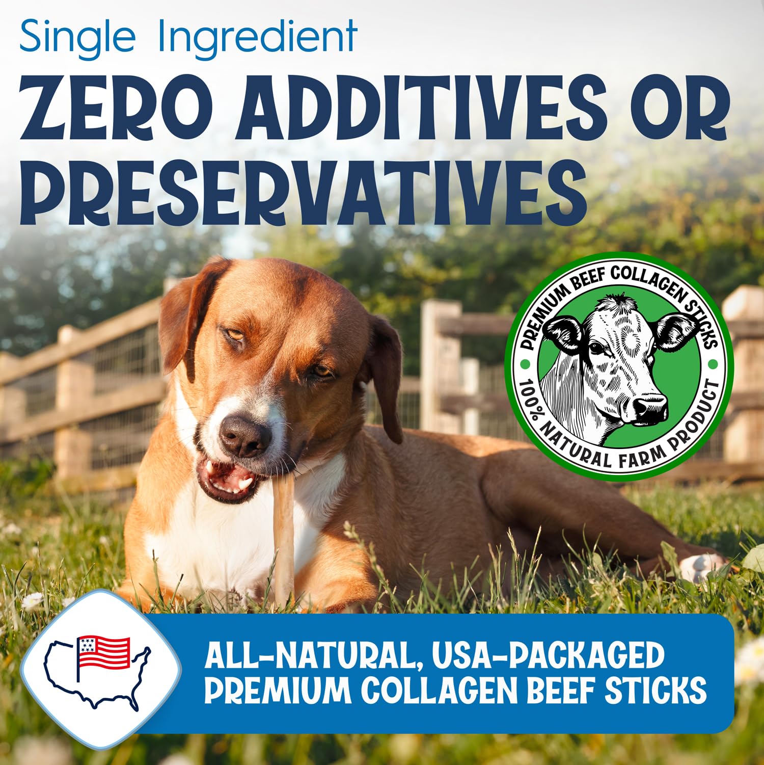 FETCHERONI 12" Collagen Sticks for Dogs – Low Odor Long-Lasting Bully Stick & Rawhide Alternative, Single Ingredient Beef Bone, High Protein Dental Treat, Vet Approved, Improves Joint Health – 5 Pack FETCHERONIAu supplements