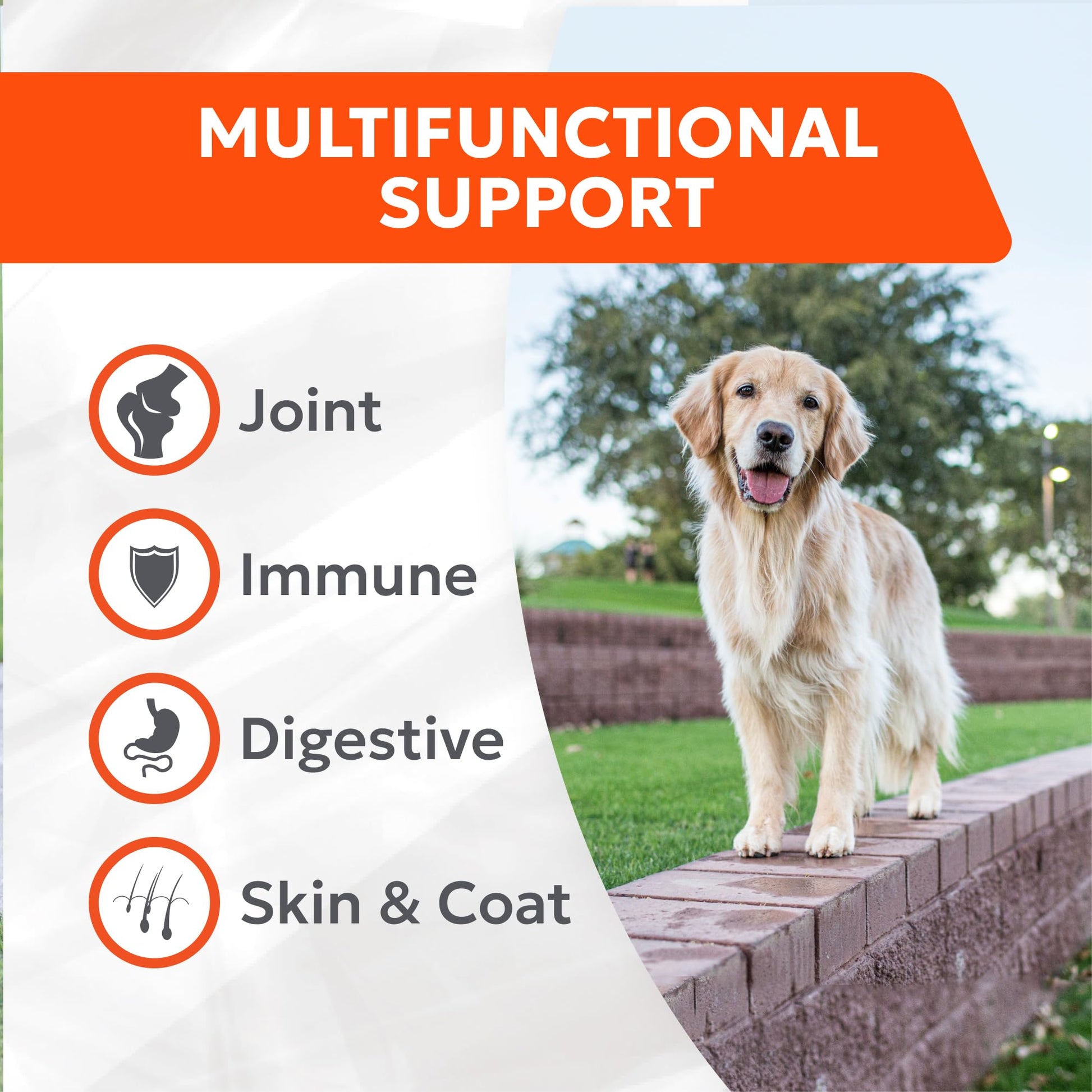 Nutramax Cosequin Joint Health Supplement with Multifunctional Support for Dogs, Soft Chews with Glucosamine, Chondroitin, Omega-3s, and Postbiotics, 90 Count Nutramax LaboratoriesAu supplements