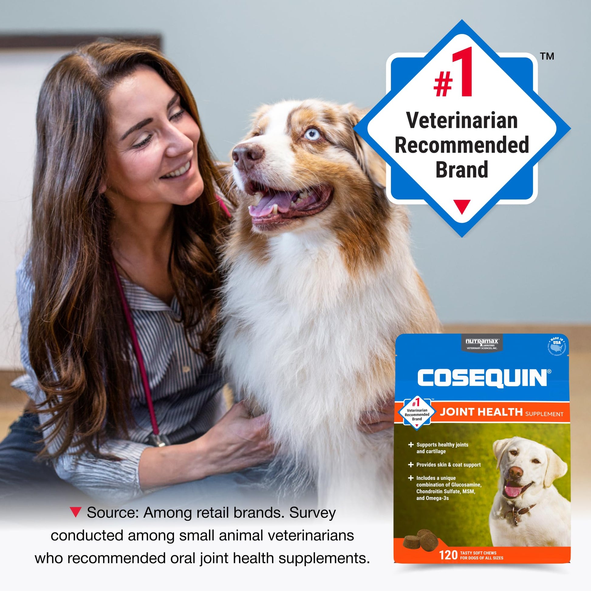Nutramax Cosequin for Dogs Joint Health Supplement, Contains Glucosamine, Plus Chondroitin, MSM and Omega-3s, Supports Joint and Skin and Coat Health, Soft Chews, 120 Count Nutramax LaboratoriesAu supplements