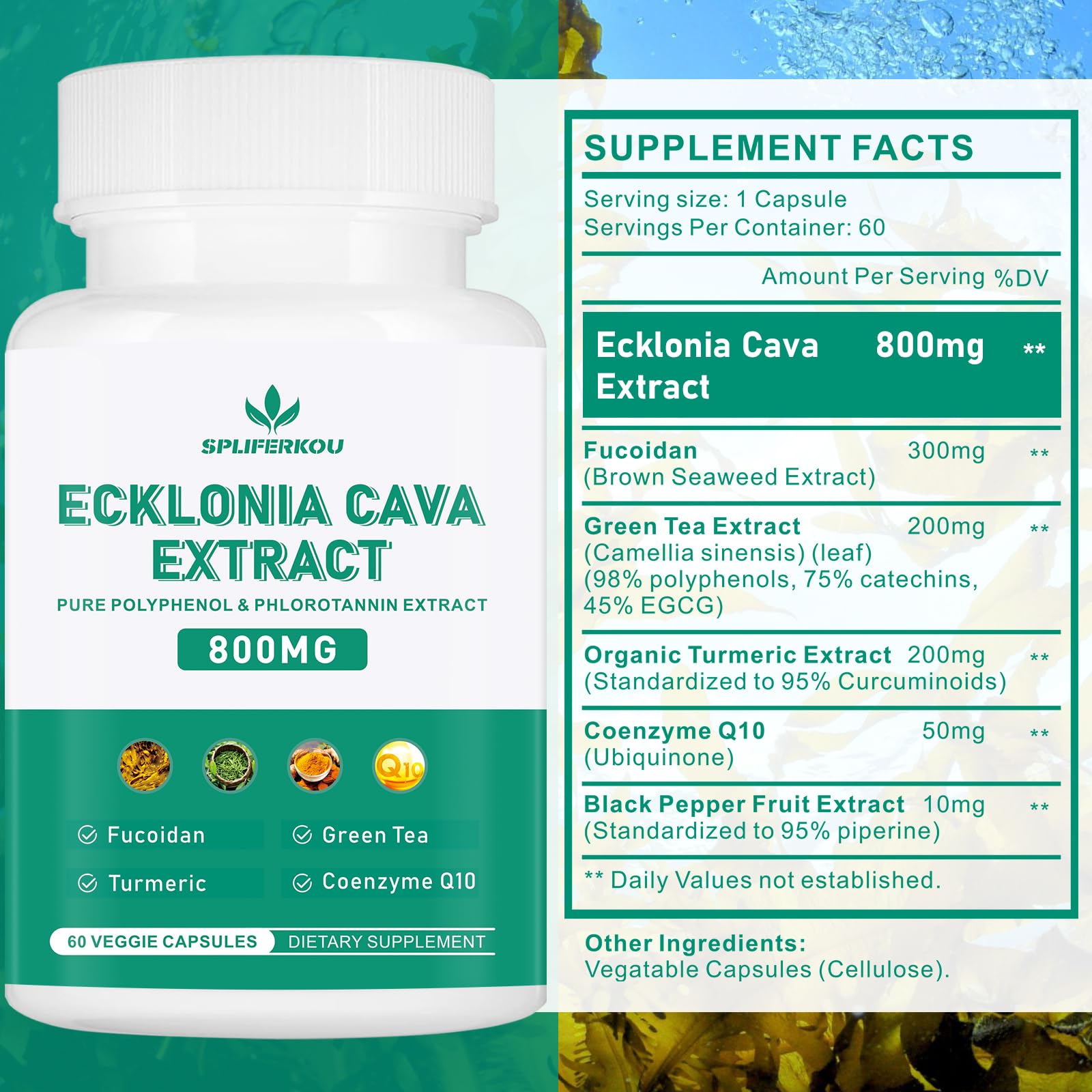 Spliferikou Ecklonia Cava Extract, 800mg, 60 Veggie Capsules with Fucoidan, Green Tea, Turmeric, CoQ10, Dietary Supplement SpliferkouAu supplements