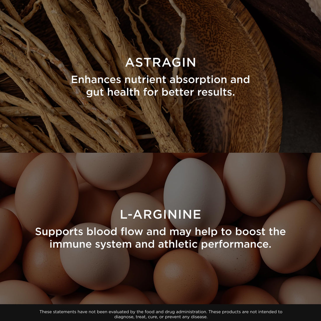 Genius L-Arginine Nitric Oxide Powder - Fermented L- Arginine Nutritional Supplements & Nitric Oxide Booster - Pre Workout, Natural Muscle Builder - 30 Servings, Lemon The Genius BrandUS supplements