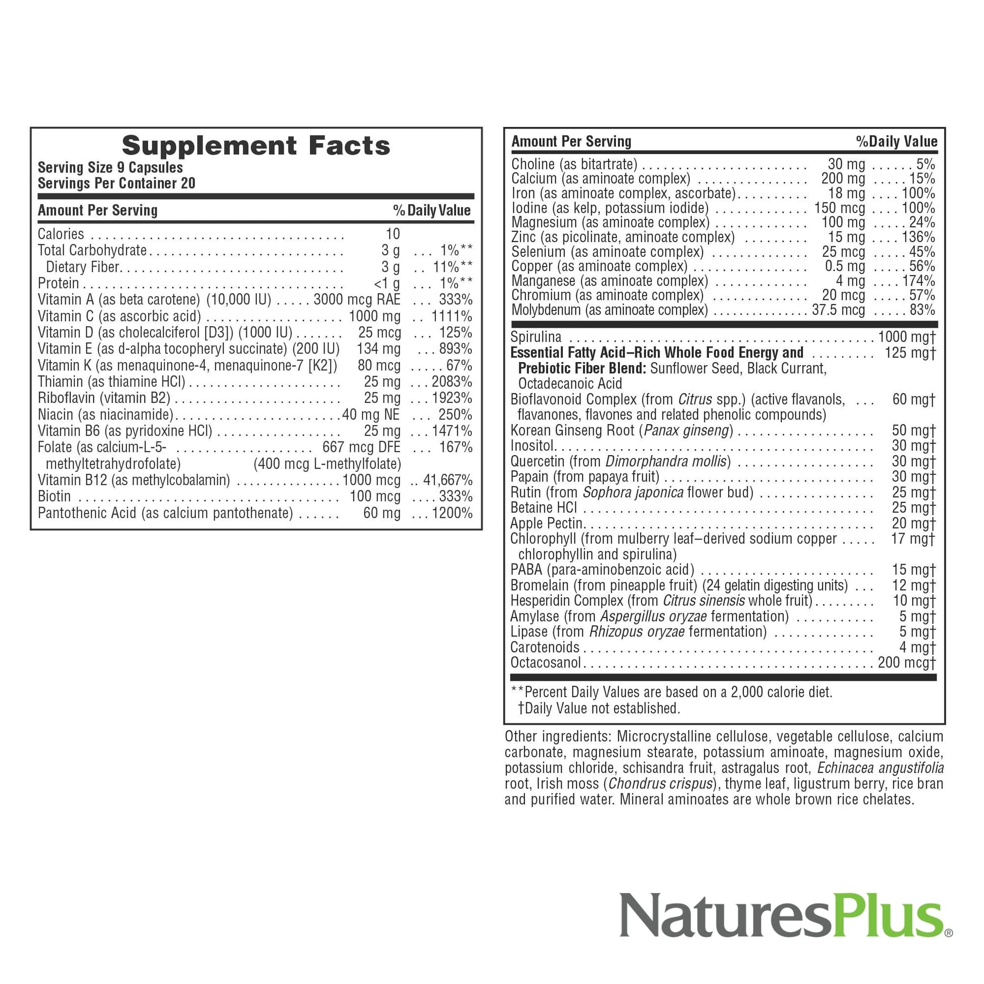 NaturesPlus Source of Life - 180 Capsules - Multivitamin & Mineral Supplement - Supports Natural Energy & Overall Well-Being - Gluten Free, Vegetarian - 20 Servings NaturesPlusAu supplements