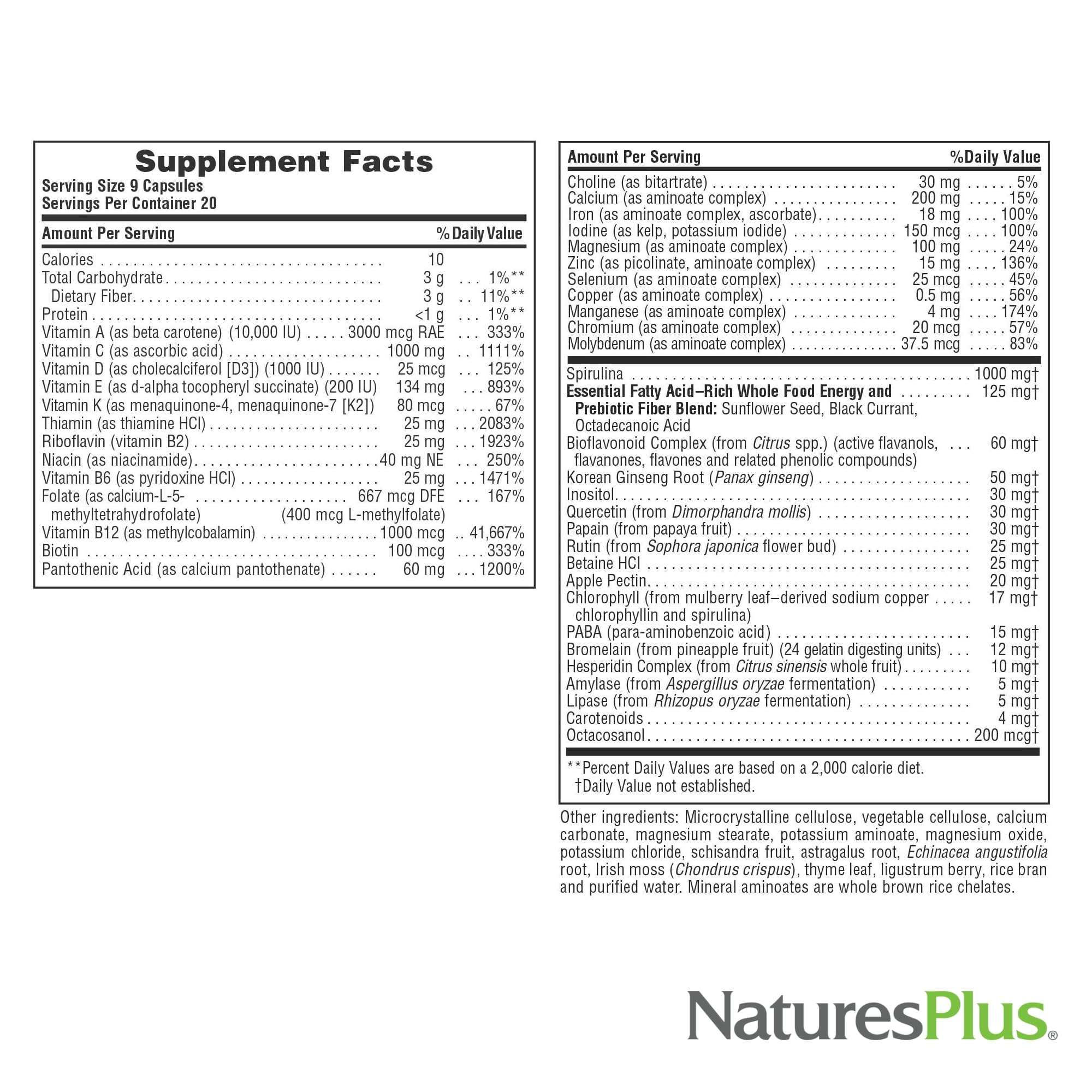 NaturesPlus Source of Life - 180 Capsules - Multivitamin & Mineral Supplement - Supports Natural Energy & Overall Well-Being - Gluten Free, Vegetarian - 20 Servings NaturesPlusAu supplements