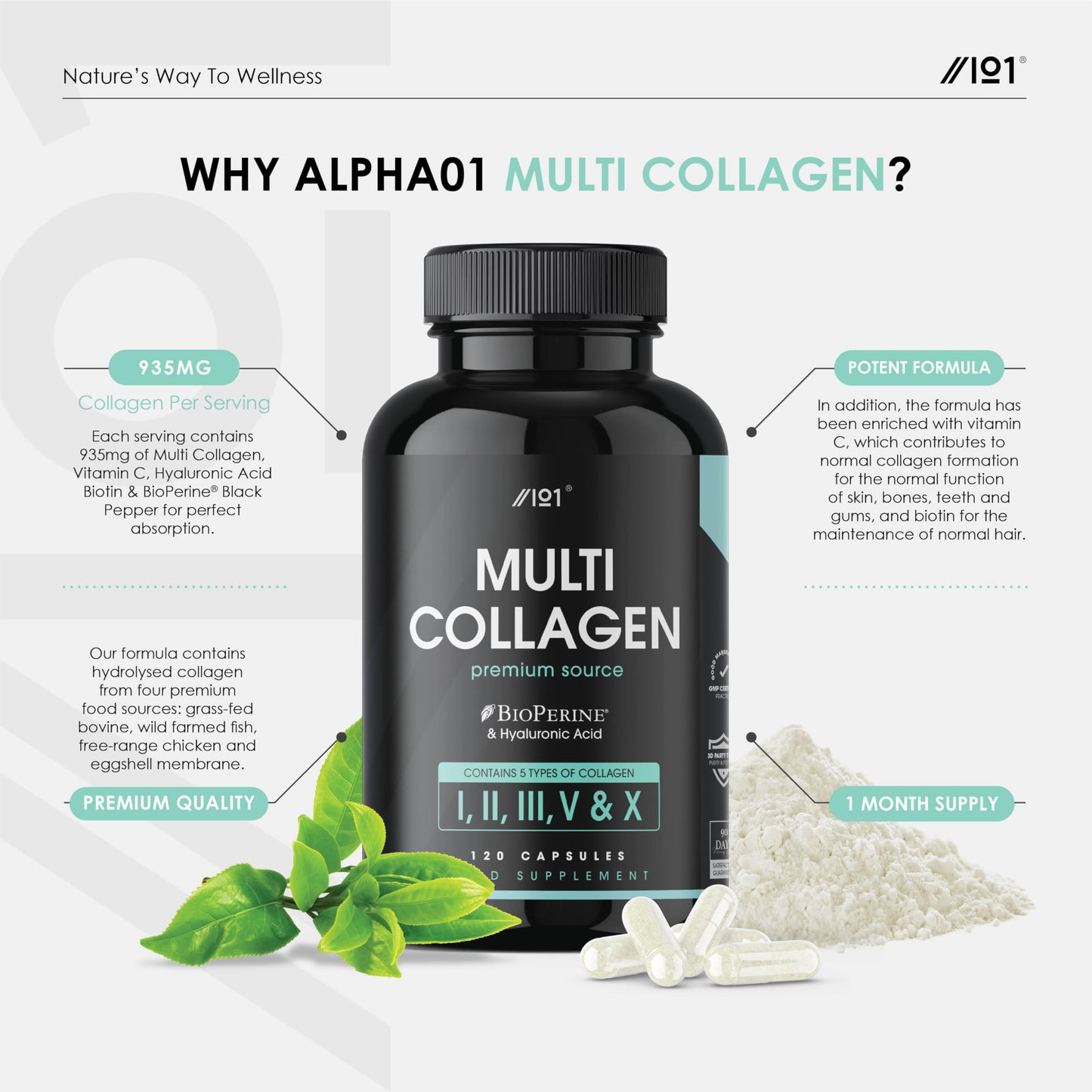 Multi Collagen Capsules - 120 Capsules - Types I, II, III, V & X - Wild Caught Fish, Grass Fed Bovine, Eggshell Revive NaturalsUS supplements
