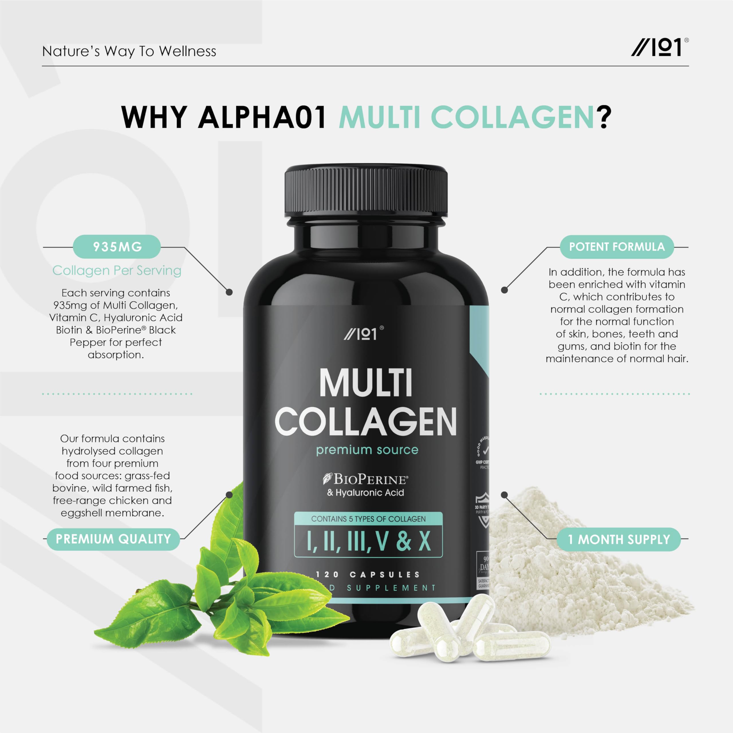 Multi Collagen Capsules - 120 Capsules - Types I, II, III, V & X - Wild Caught Fish, Grass Fed Bovine, Eggshell Revive NaturalsAu supplements
