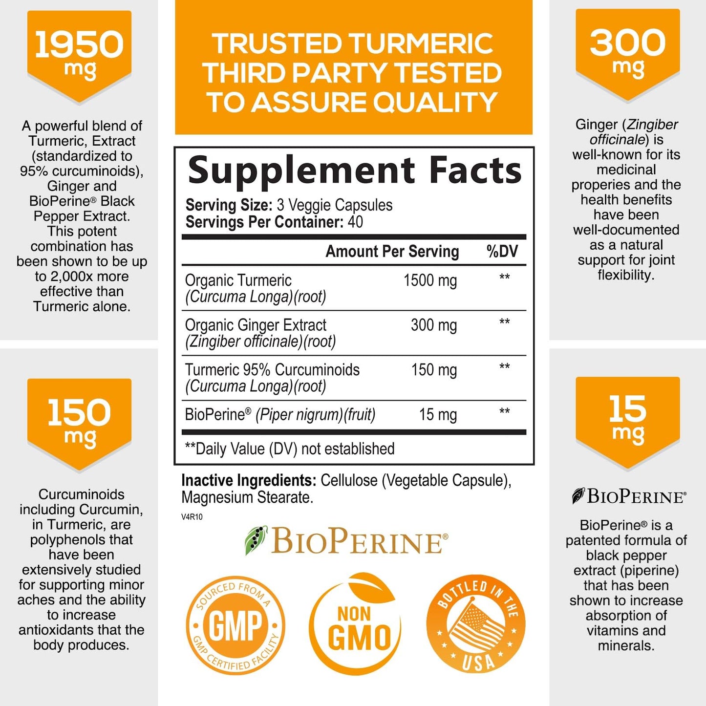Turmeric Curcumin with BioPerine & Ginger 95% Standardized Curcuminoids Nature's NutritionUS supplements