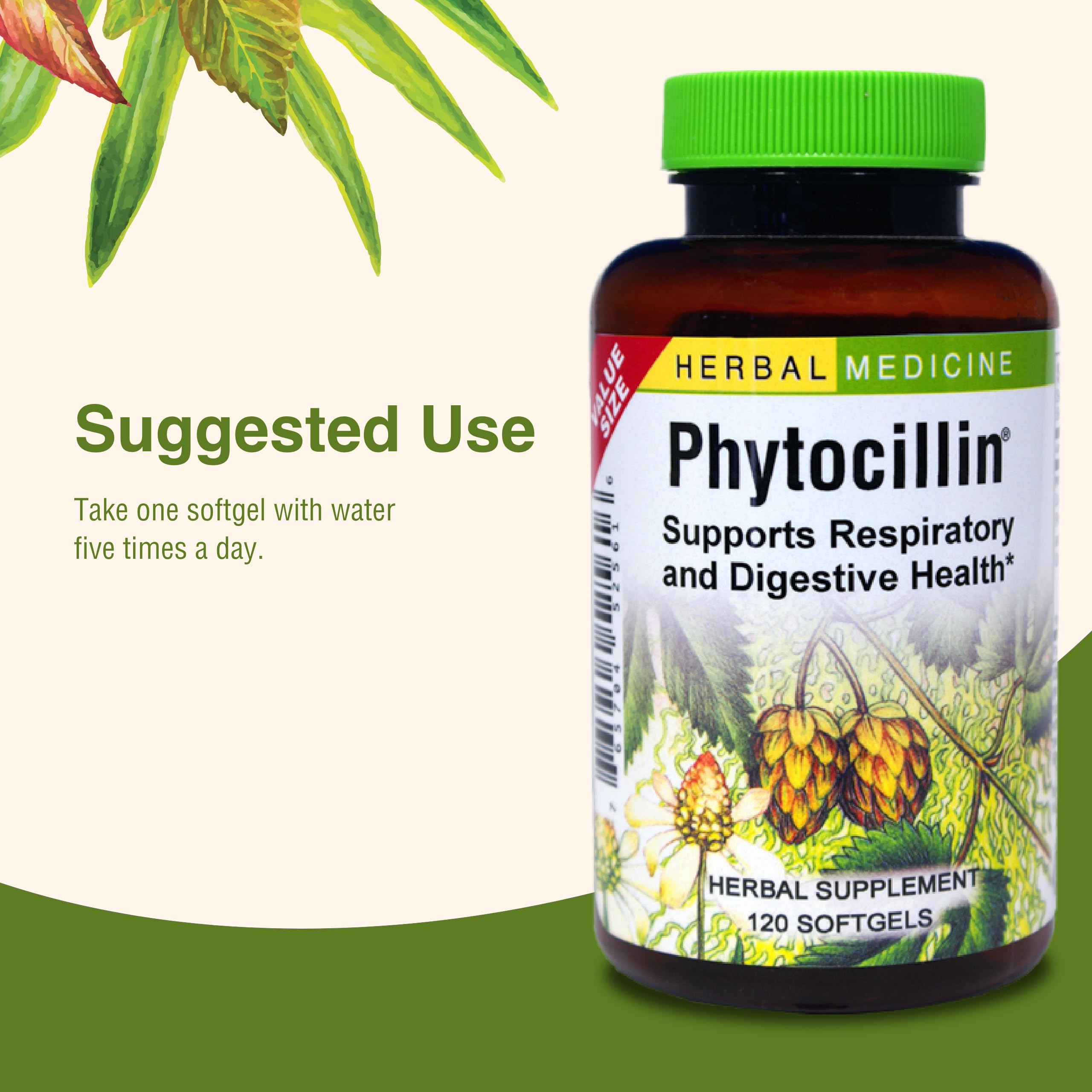 Herbs Etc. Phytocillin - Respiratory & Digestive Health Support Supplement - Herbal Formula to Support Digestion - Support Healthy Breathing - 120 Softgels (120 Servings) Herbs Etc.Au supplements