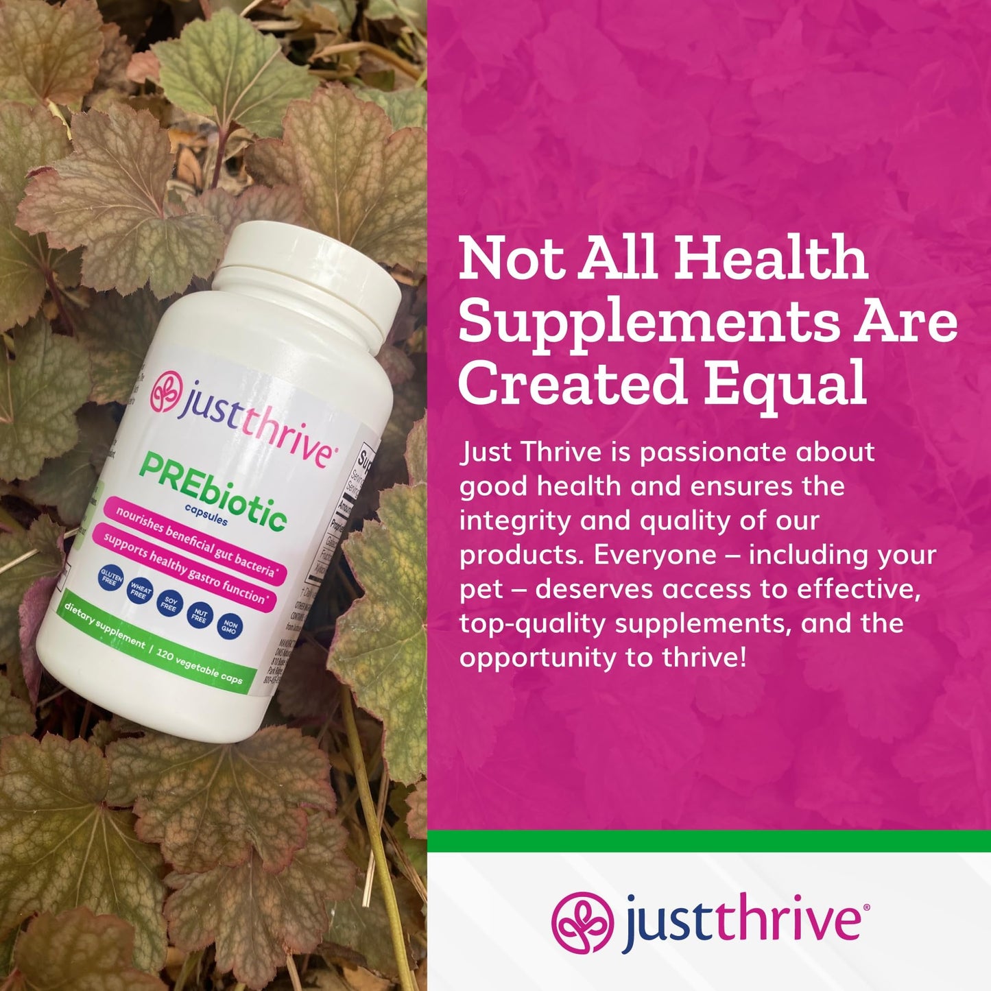 Just Thrive PREbiotic Capsules - Prebiotic Blend for Gut Health and Immune Support, 120 Caps Just ThriveUS supplements