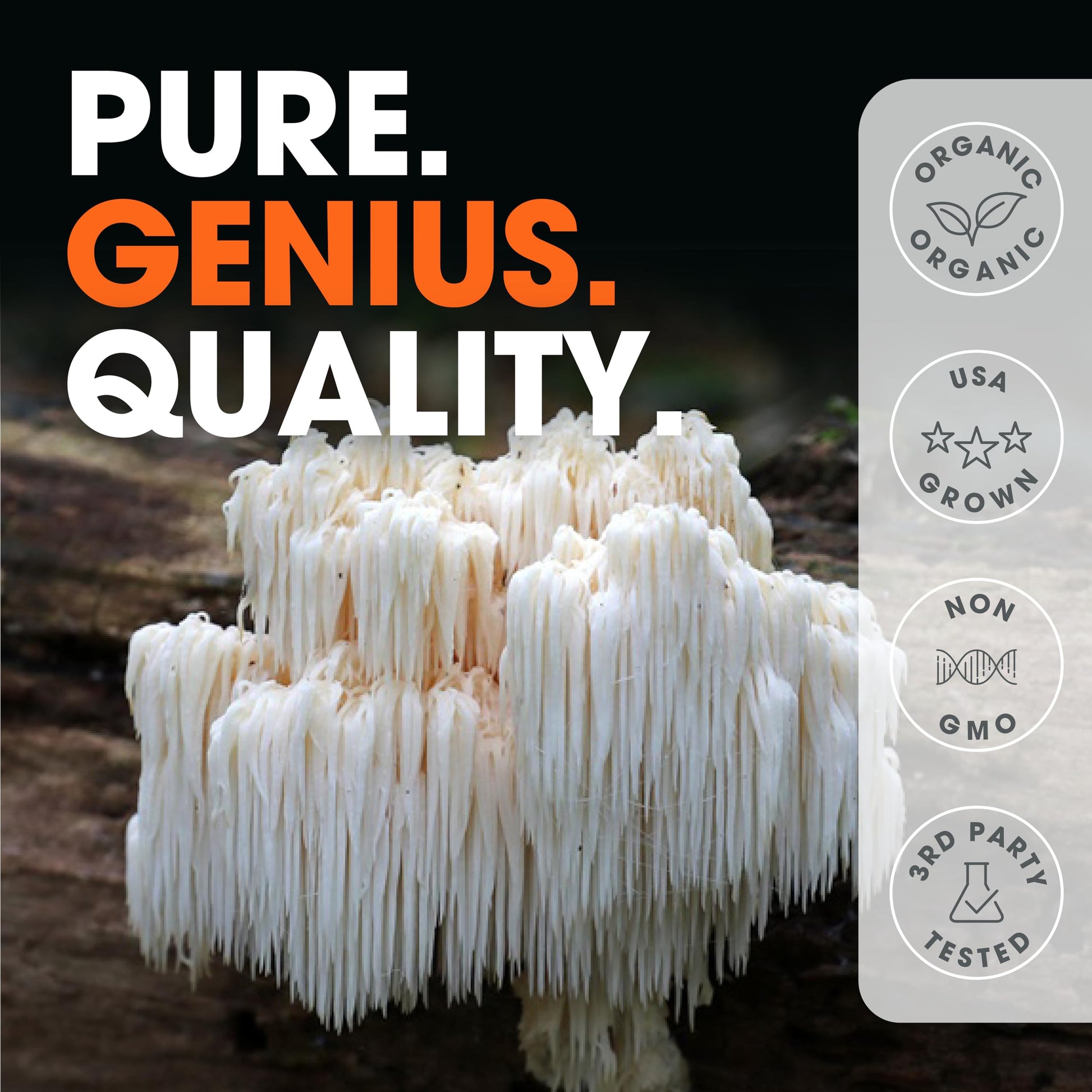 Genius Lions Mane Supplement Capsules - Organic Nootropic Supplement, 1200mg per The Genius BrandAu supplements
