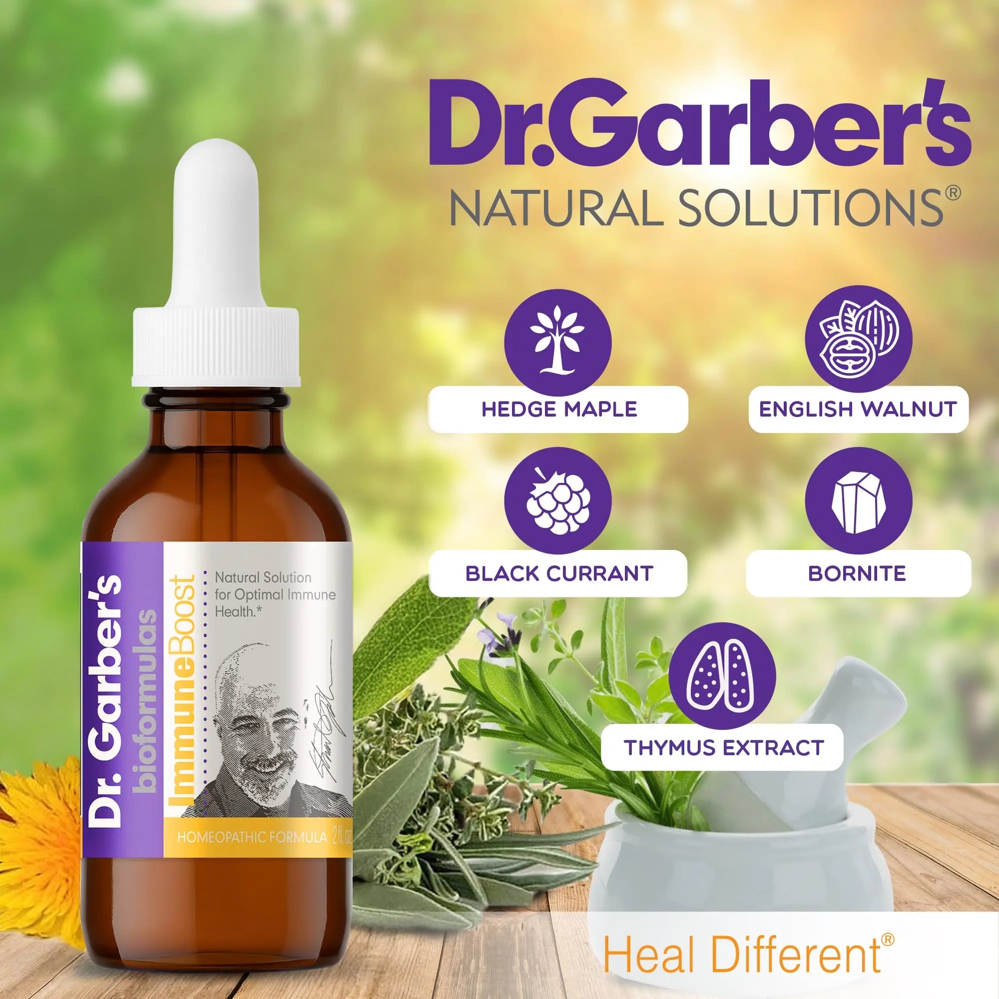 Dr. Garber's Natural Solutions Immune Boost Health Oral Drops - Gemmotherapy Liquid Supplement to Strengthen Immunity, Support Immune System, Increase Resistance, & Contains Antioxidants - 60ml DR.GARBER'Snz supplements