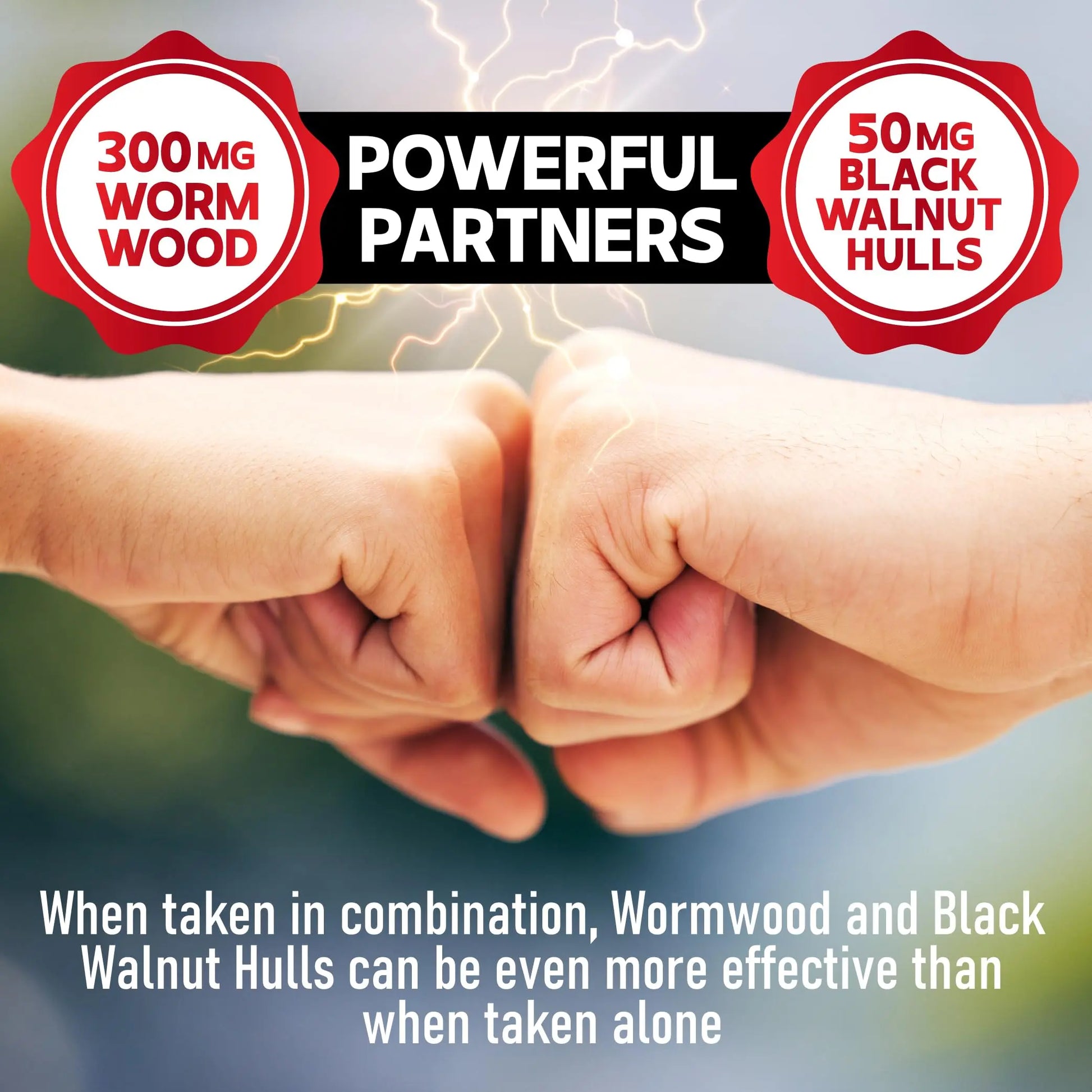 DEDICAD 12in1 Wormwood Capsules Black Walnut Cloves, Ginger, Turmeric Curcumin & Black Pepper - Immune System - 60 Capsules DEDICADnz supplements