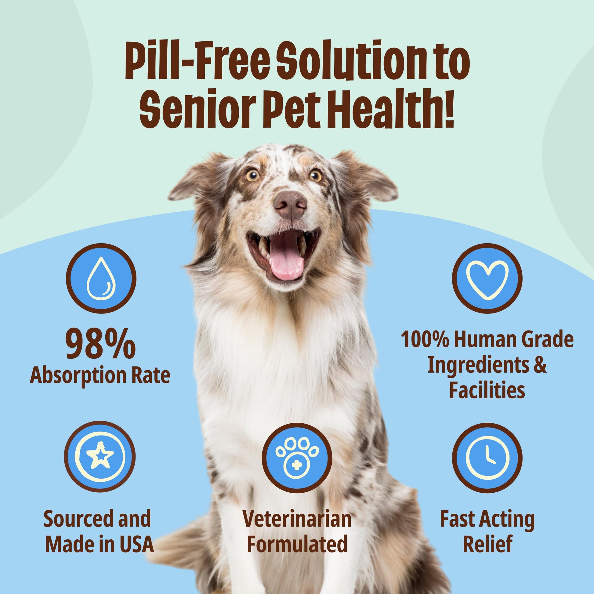 Licks Pill-Free Dog Joint and Heart - Glucosamine & Omega 3 Fish Oil Supplement for Dogs - Inflammation Supplements for Joint Support - Gel Packets - 30 Use Licks Pill FreeAu supplements