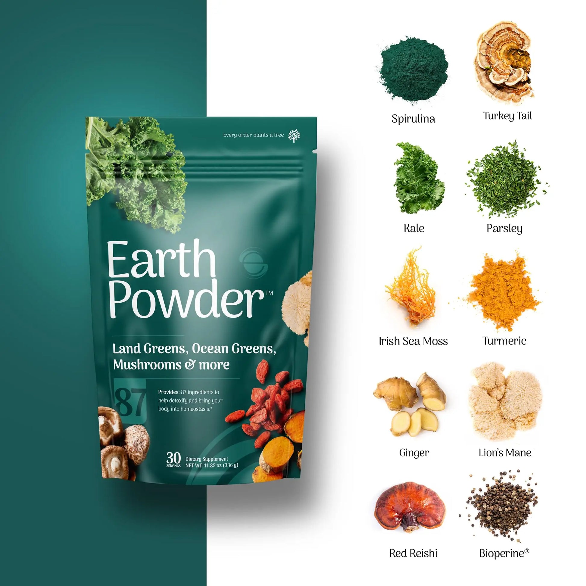 Earth Powder Daily Foundational Nutrition Supplement with 28 Greens & 10 Mushrooms | 87 Nutrients for Energy, Gut Health & Mental Clarity Earth Powdernz supplements