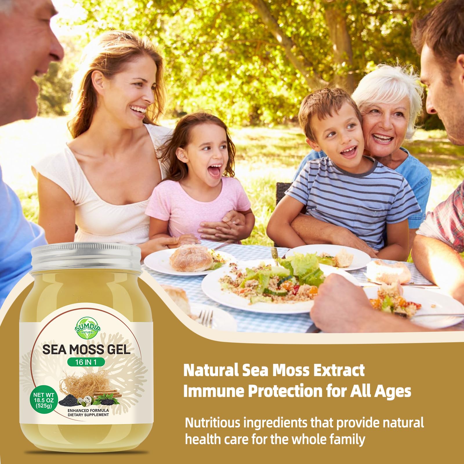 Sea Moss Gel - 18.5 oz Irish Seamoss Gel with Black Seed Oil and Ashwagandha, 16 in 1 Vegan Superfood Rich in Vitamins & Minerals, Raw Wildcrafted Seamoss for Immune & Digestion Support, Original SumDIPAu supplements