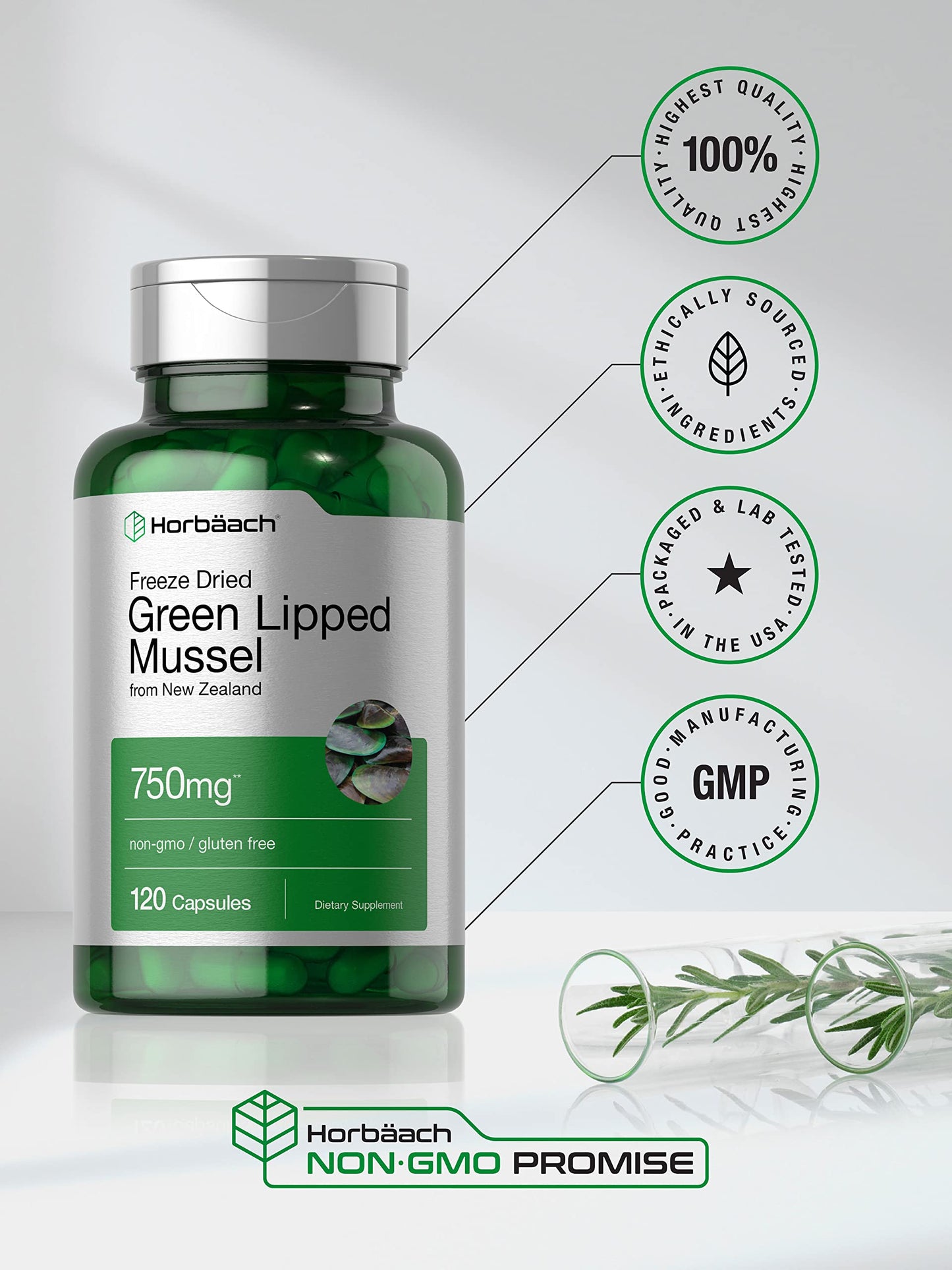 Green Lipped Mussel | 750 mg | 120 Capsules | from New Zealand | Premium Freeze Dried HorbäachUS supplements