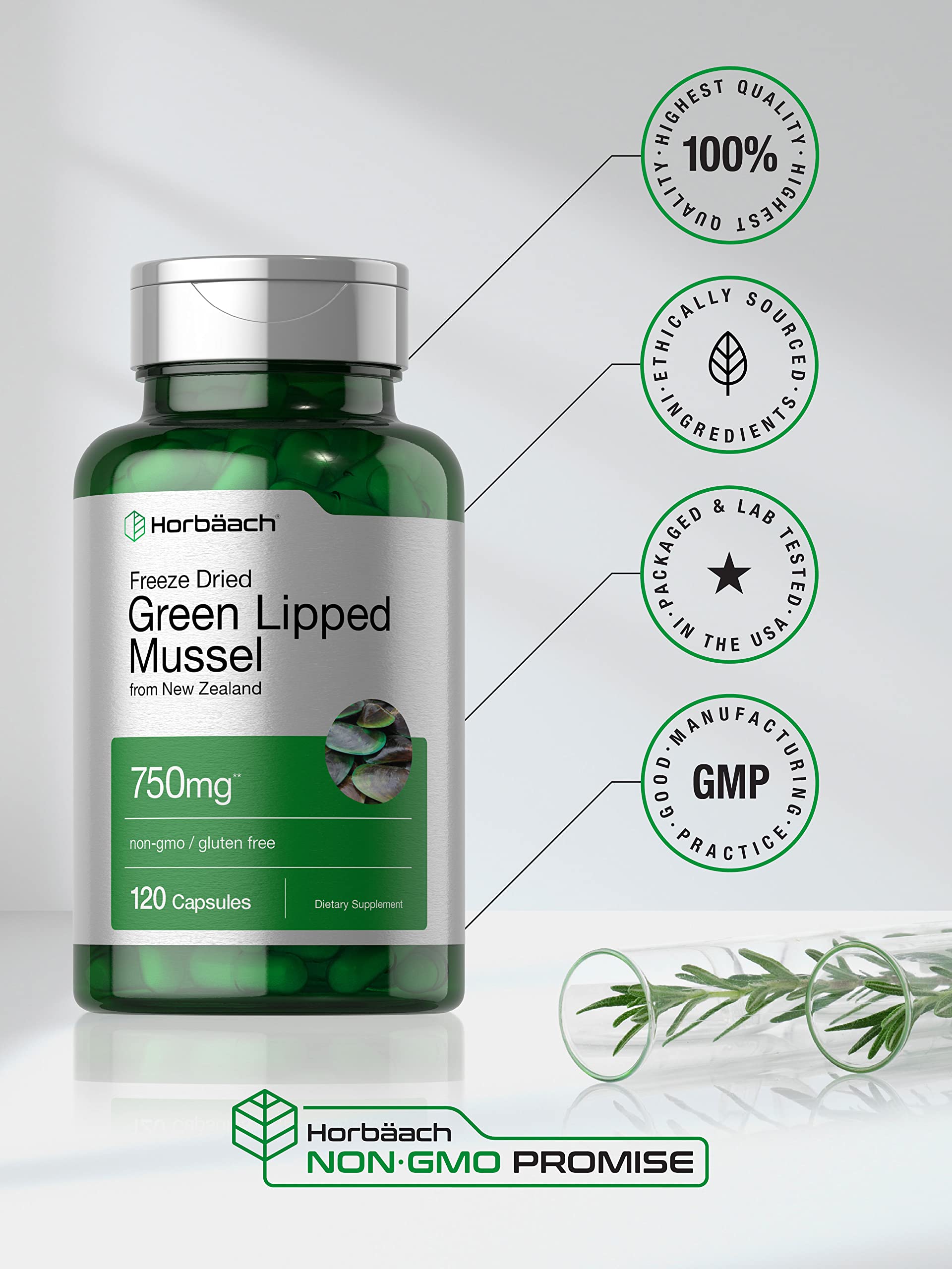 Green Lipped Mussel | 750 mg | 120 Capsules | from New Zealand | Premium Freeze Dried HorbäachAu supplements