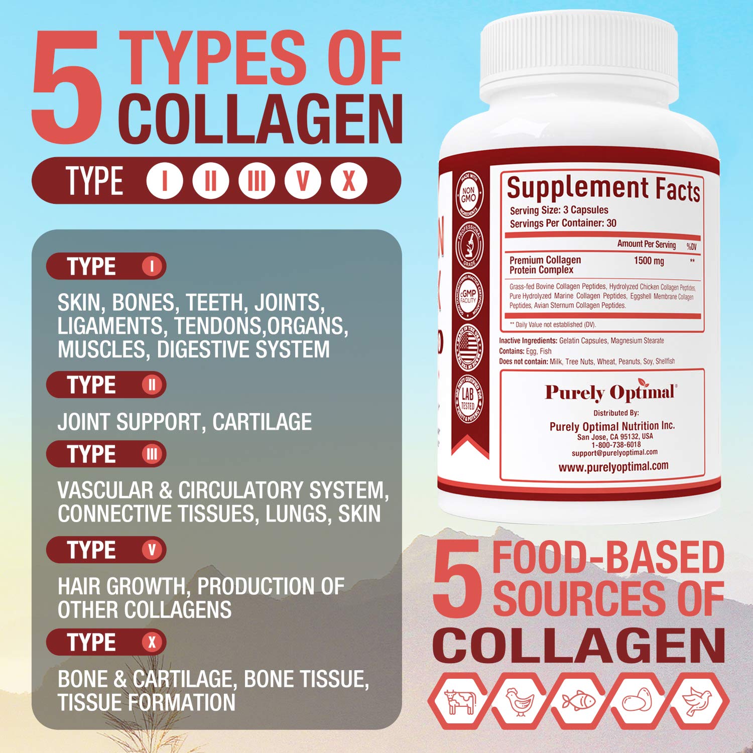 Purely Optimal Premium Multi Collagen Peptides Capsules (Types I, II, III, V, X) - Hair Purely OptimalUS supplements