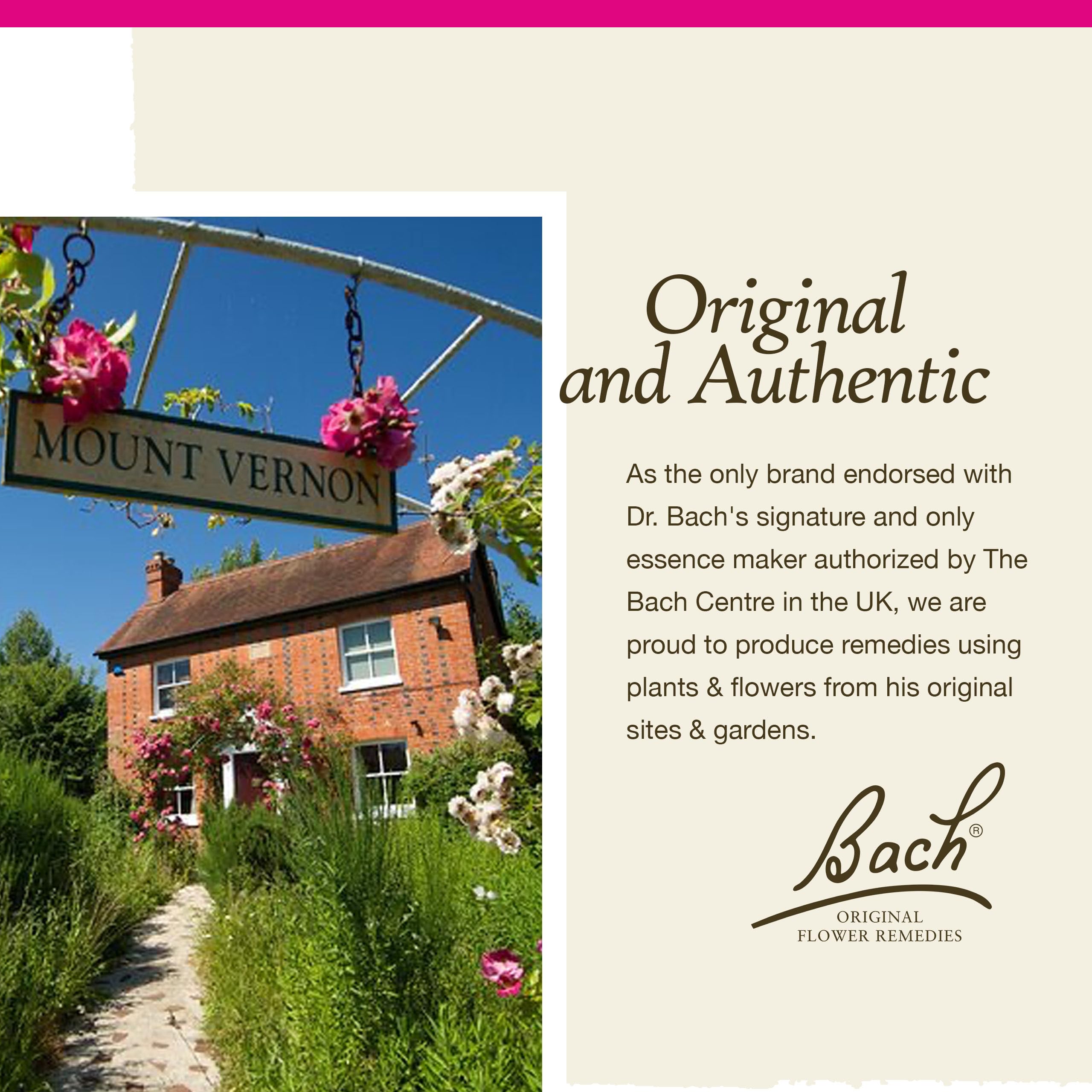 Bach Original Flower Remedies, Pine for Self Respect, Natural Homeopathic Flower Essence BachAu supplements