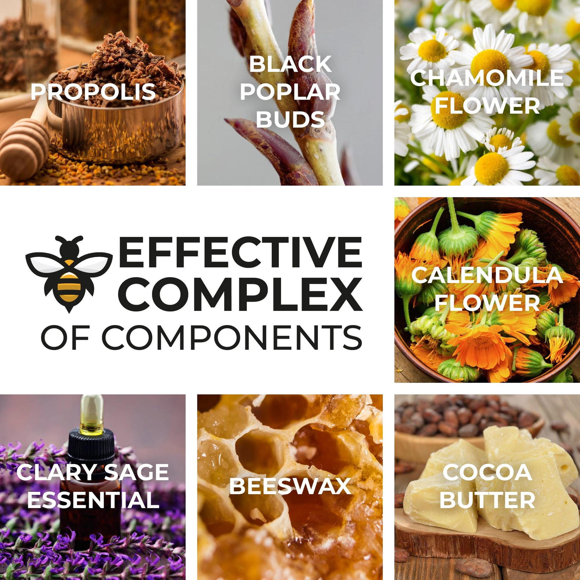 Organic Propolis Comfort Suppositories for Men, Women - Natural Bee & Botanical Formula, Gentle Daily Care 10 Count New Time Organic beekeeping productsUS supplements