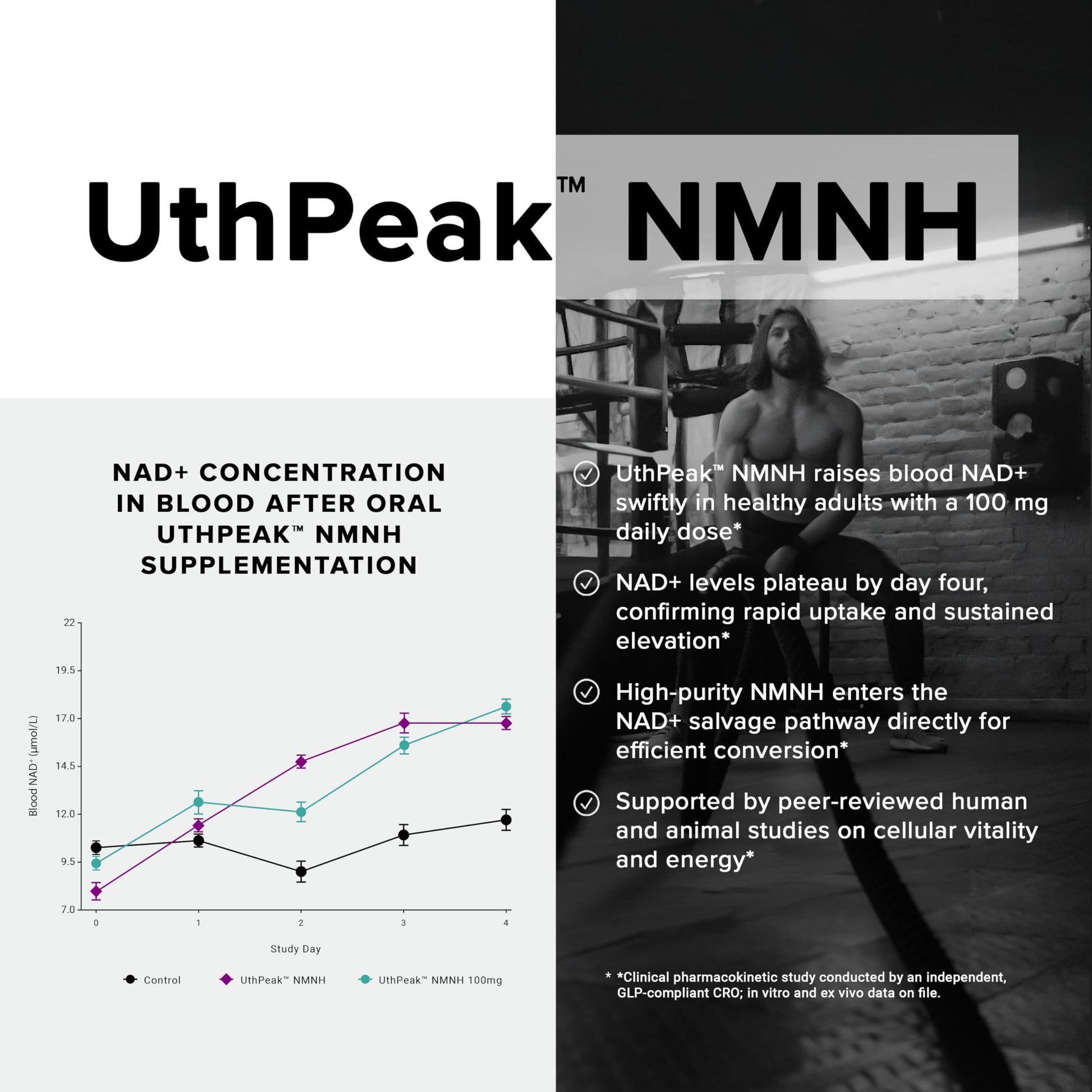 Toniiq NMNH Supplement – Ultra High Potency 1,000mg Complex with Clinically Studied Uthpeak™ NMNH, Resveratrol, Quercetin & TMG – Highly Purified – Third-Party Lab Tested – 60 Capsules ToniiqAu supplements
