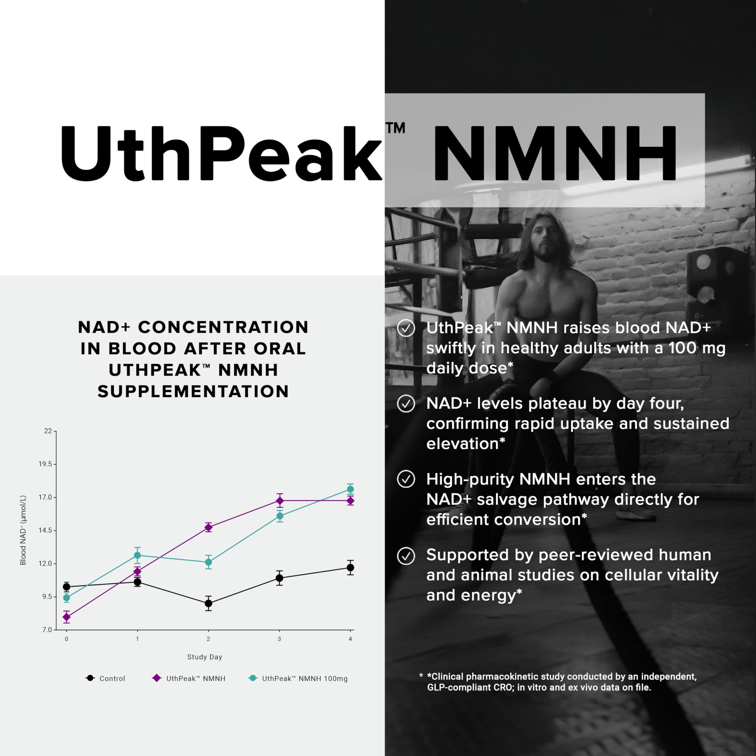 Toniiq NMNH Supplement – Ultra High Potency 1,000mg Complex with Clinically Studied Uthpeak™ NMNH, Resveratrol, Quercetin & TMG – Highly Purified – Third-Party Lab Tested – 60 Capsules ToniiqAu supplements