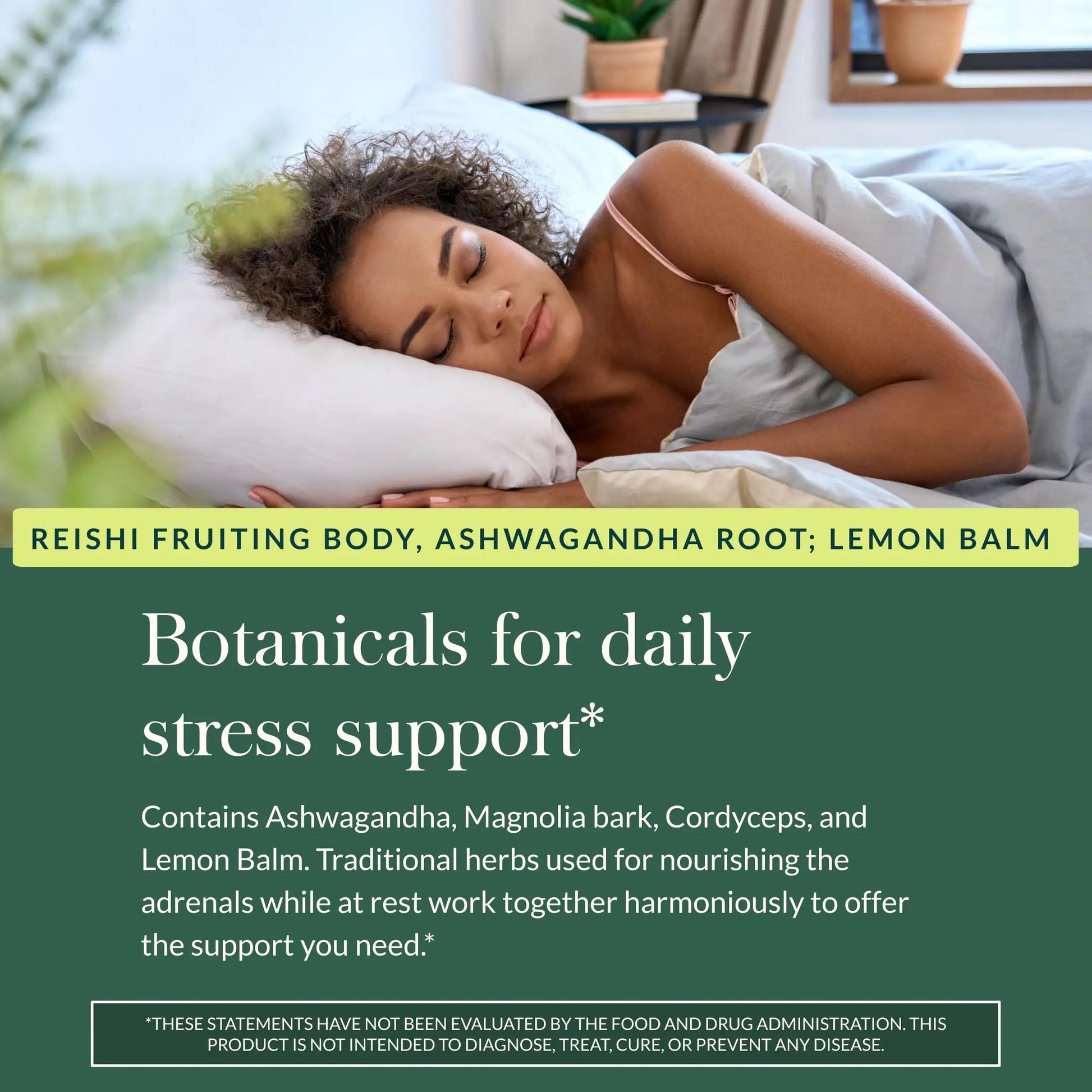 Gaia Herbs Adrenal Health Daily Support, Help Maintain Healthy Energy & Stress Levels*,120 Liquid Phyto-Caps Adrenal Health Nightly Restore, 120 Liquid Phyto-Caps - Bundle Gaia Herbsnz supplements