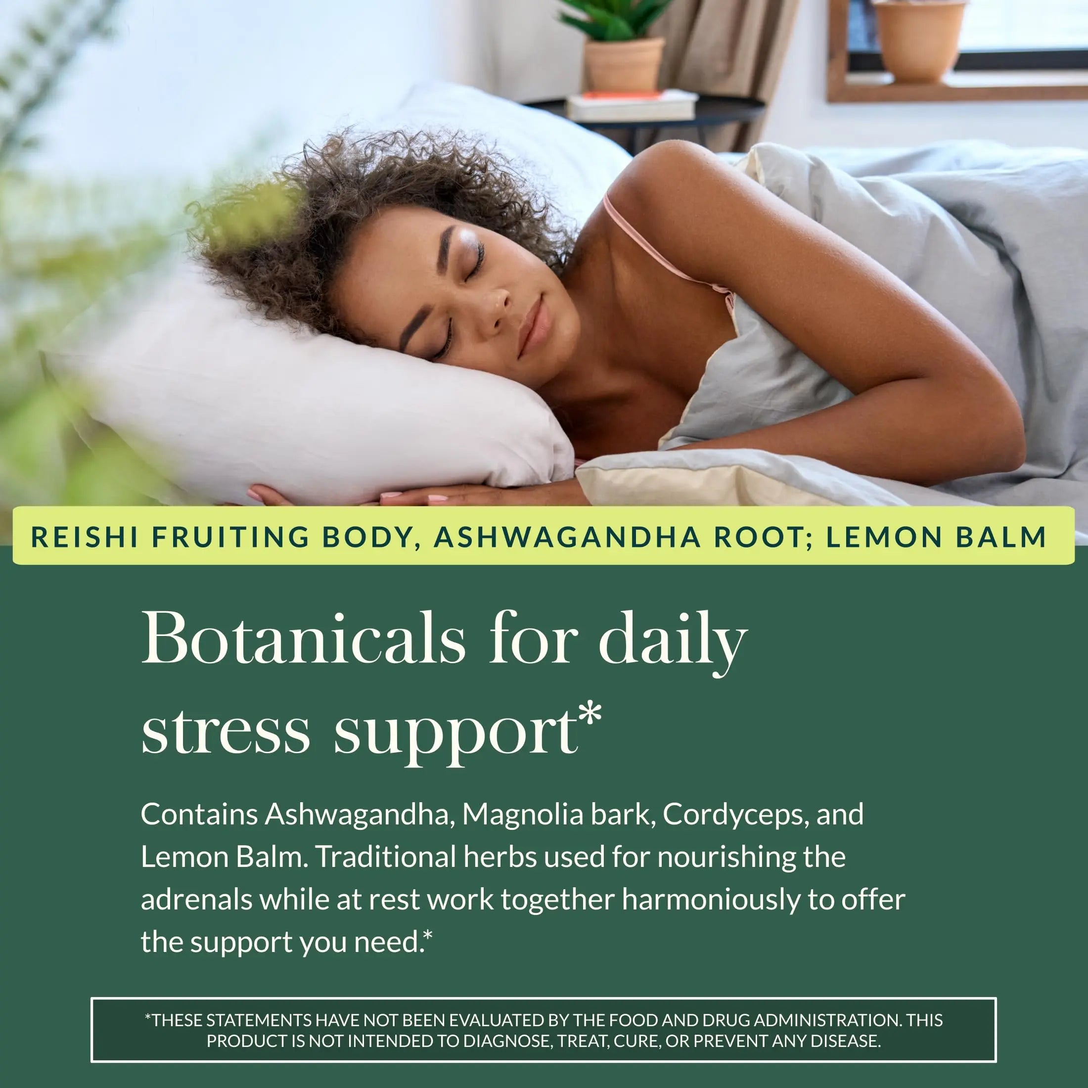 Gaia Herbs Adrenal Health Daily Support, Help Maintain Healthy Energy & Stress Levels*,120 Liquid Phyto-Caps Adrenal Health Nightly Restore, 120 Liquid Phyto-Caps - Bundle Gaia Herbsnz supplements