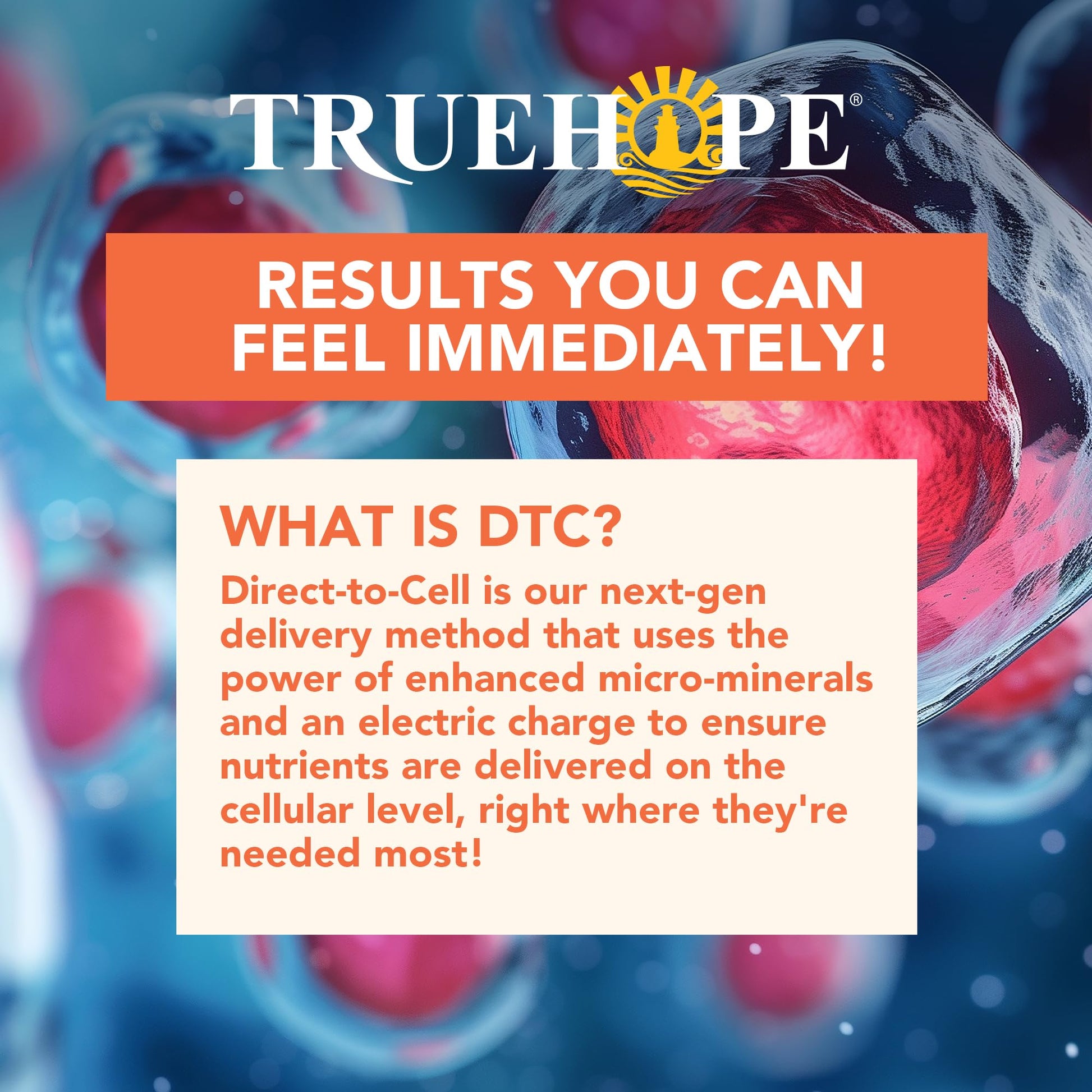 Truehope Multivitamin Nootropic Pouches with Inositol - Once-Per-Day EMPowerplus Ultimate Sticks - 30 Count (Tropical) TruehopeAu supplements