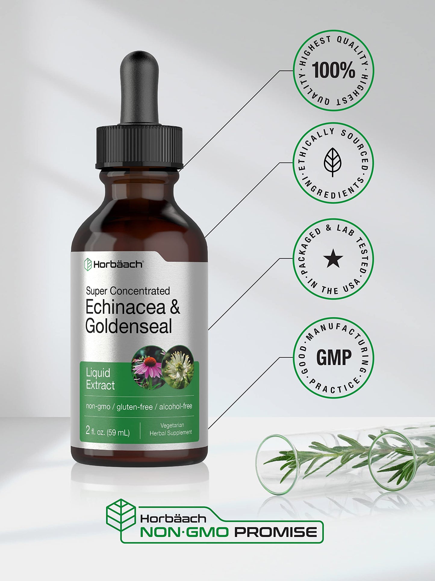Echinacea Goldenseal Liquid Extract | 2 fl oz | Alcohol Free Tincture Drops | Vegetarian HorbäachUS supplements