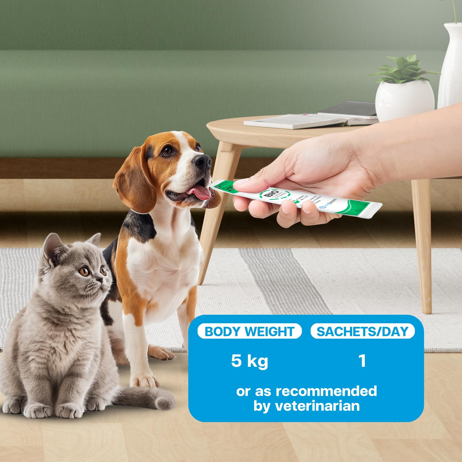 VFcare BIO Supplement for Cats & Dogs – Anti Diarrhea for Dogs, Gut Health Paste with Postbiotics, Prebiotics, FOS, L-137, Yeast Extract – Anti Diarrhea for Dogs, 30 Sachets VFCAREAu supplements