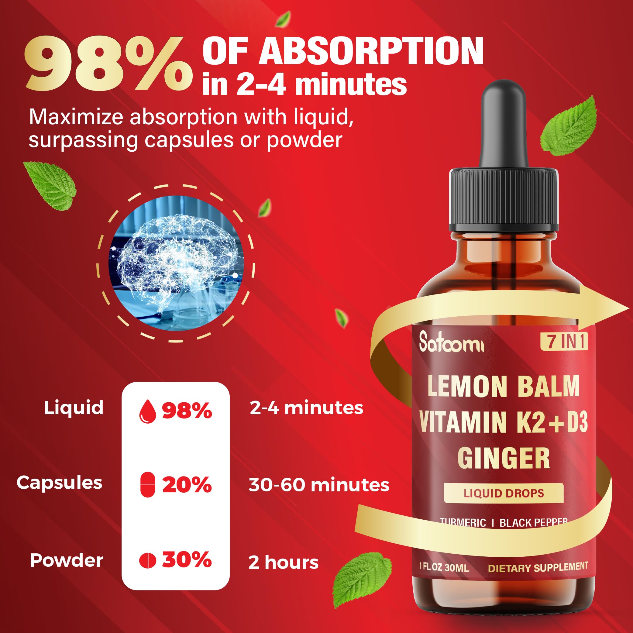 Satoomi 7in1 Lemon Balm Tincture with Vitamin D3, Vitamin K2, Ginger Root, Turmeric, Ceylon Cinnamon and Black Pepper - 1 FL Oz - 60 Day Supply SatoomiAu supplements